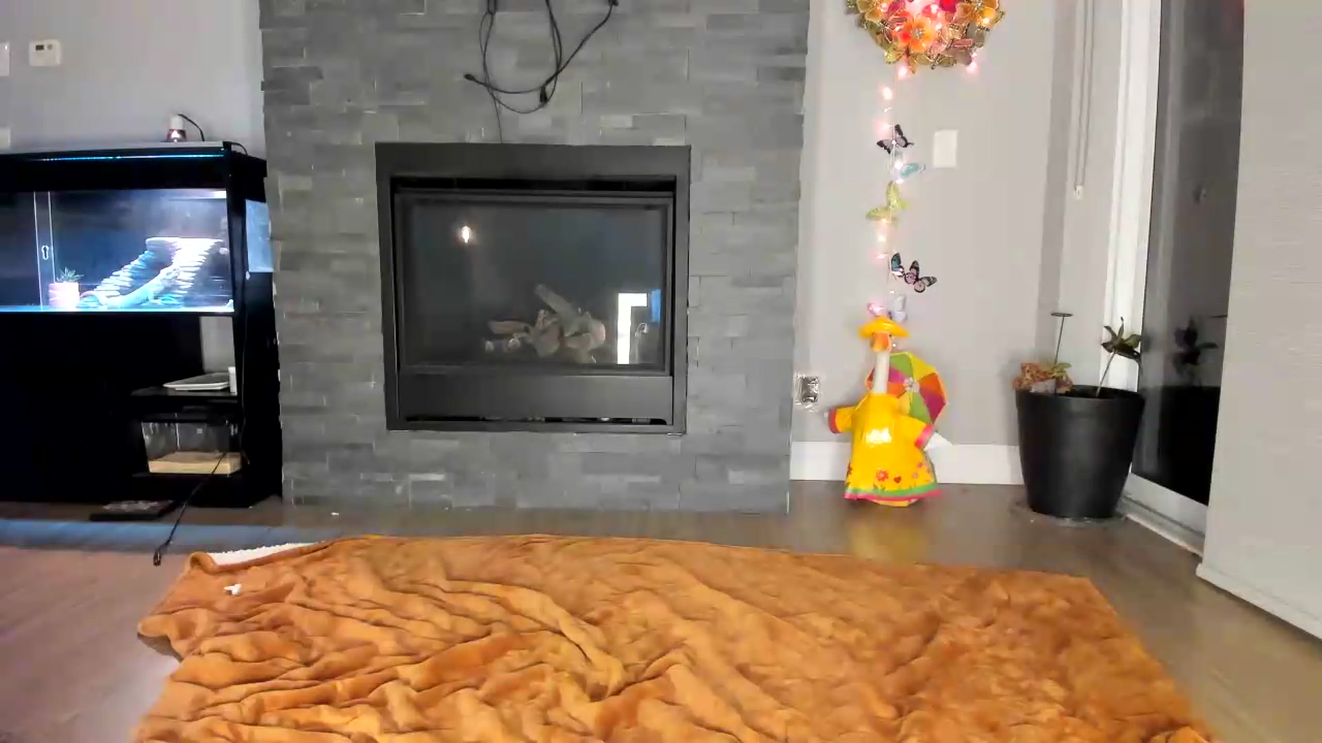Gallery image thumbnail from Laurel's myfreecams stream on, 08/08/2026, 04:51 image 5 of 20