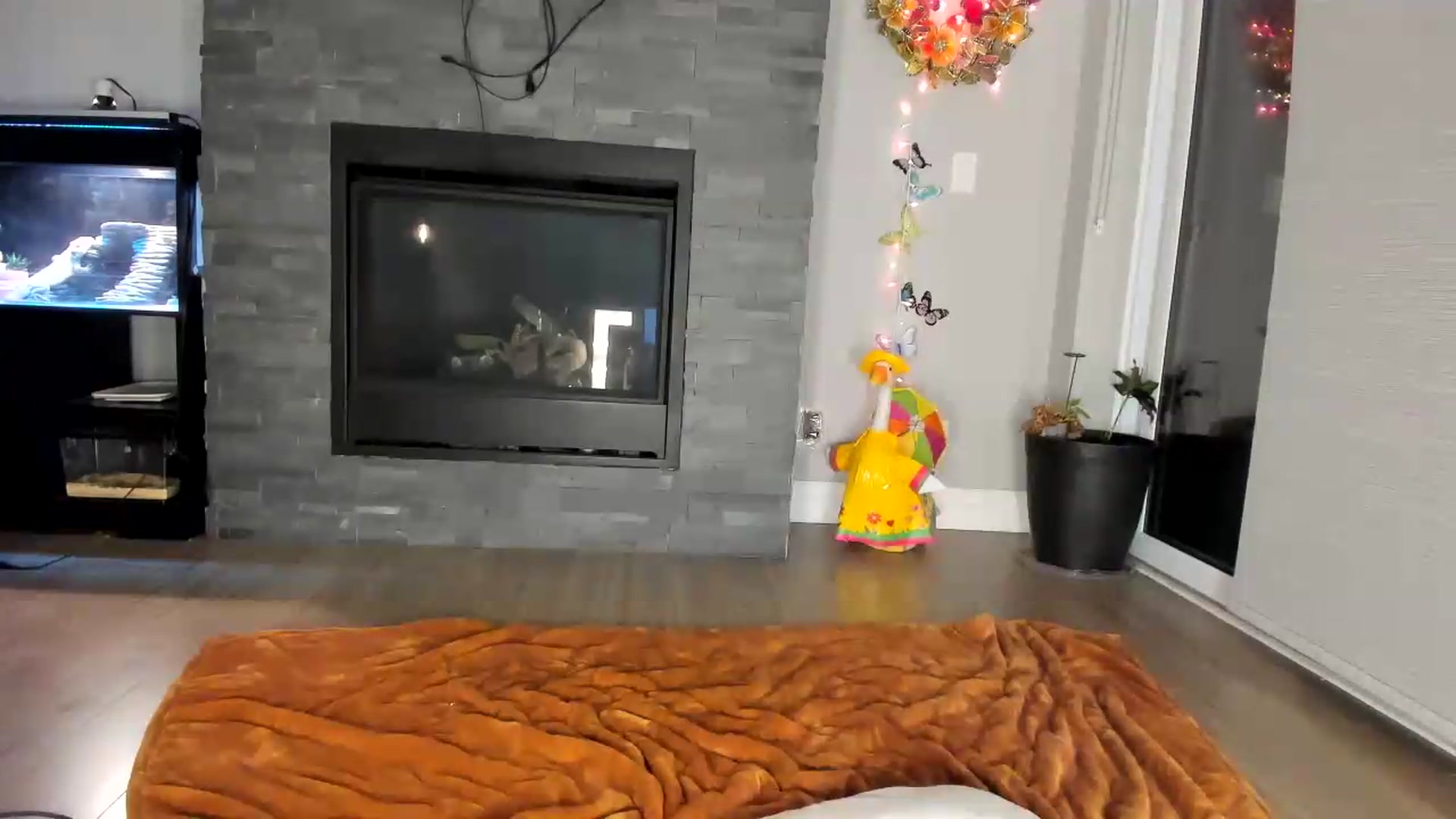 Gallery image thumbnail from Laurel's myfreecams stream on, 08/22/2026, 04:25 image 8 of 20