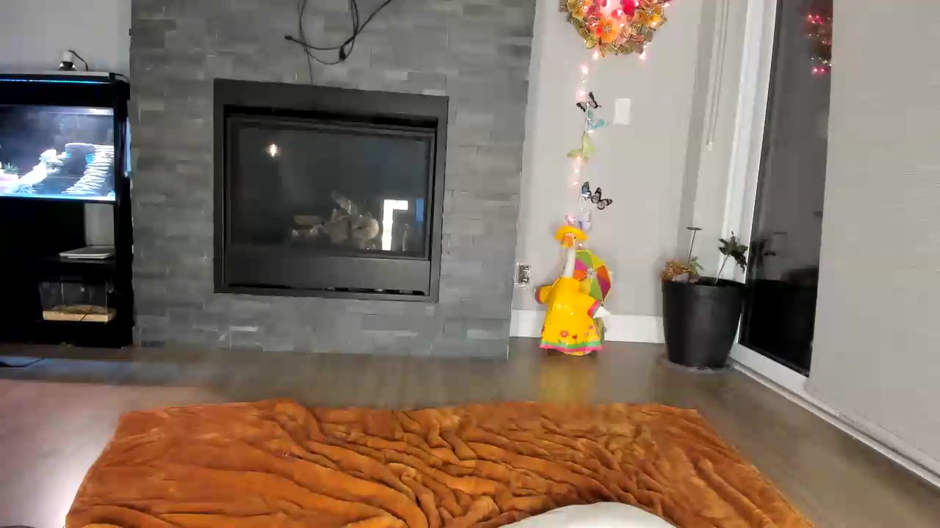 Gallery image thumbnail from Laurel's myfreecams stream on, 08/22/2026, 04:25 image 7 of 20