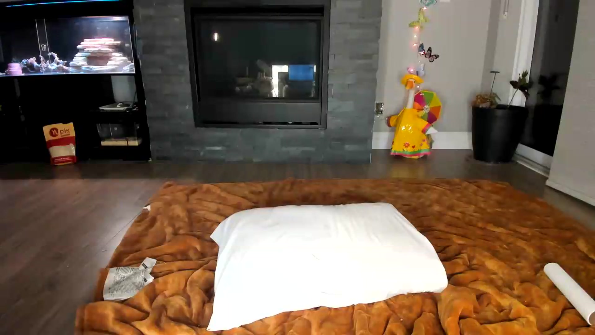 Gallery image thumbnail from Laurel's myfreecams stream on, 09/01/2026, 05:50 image 13 of 20