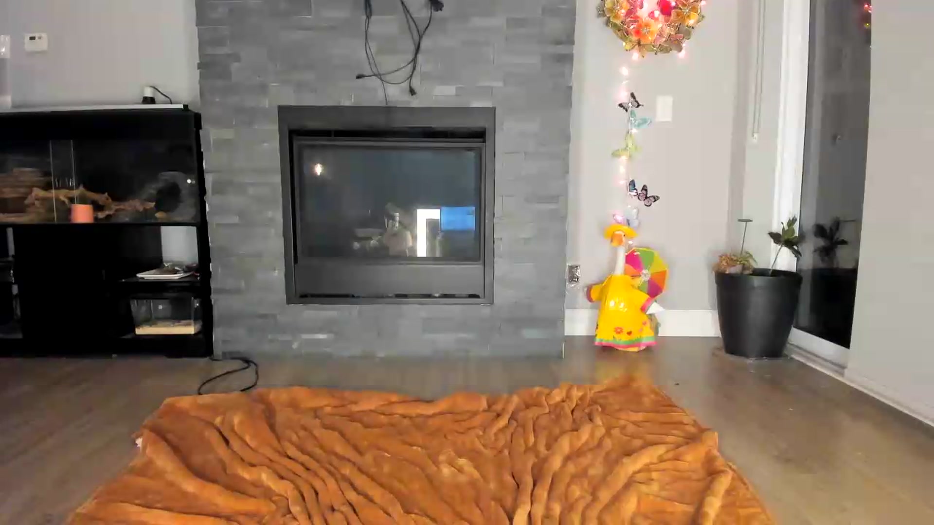 Gallery image thumbnail from Laurel's myfreecams stream on, 09/04/2026, 08:03 image 8 of 20
