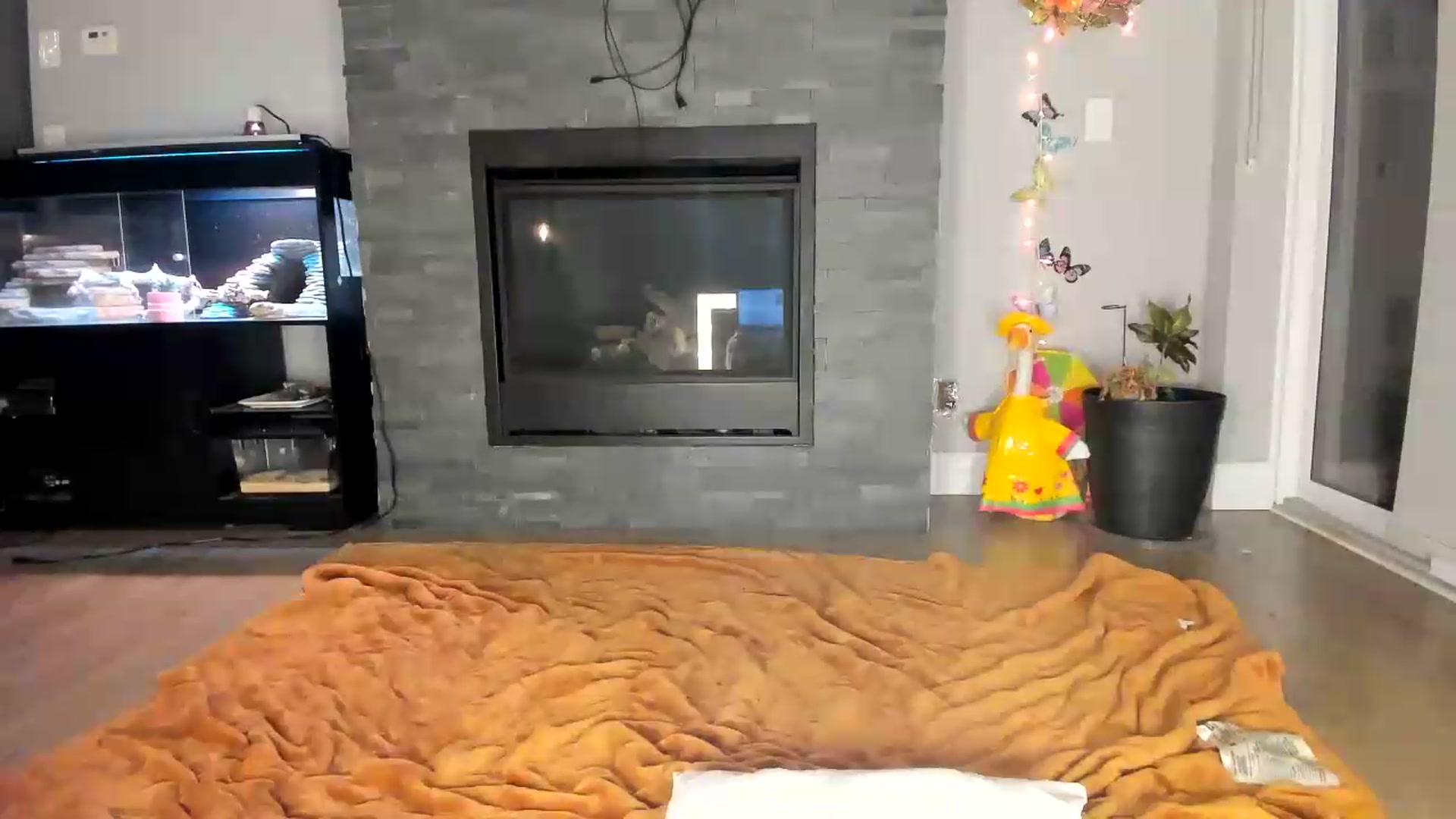 Gallery image thumbnail from Laurel's myfreecams stream on, 09/08/2026, 03:40 image 13 of 20
