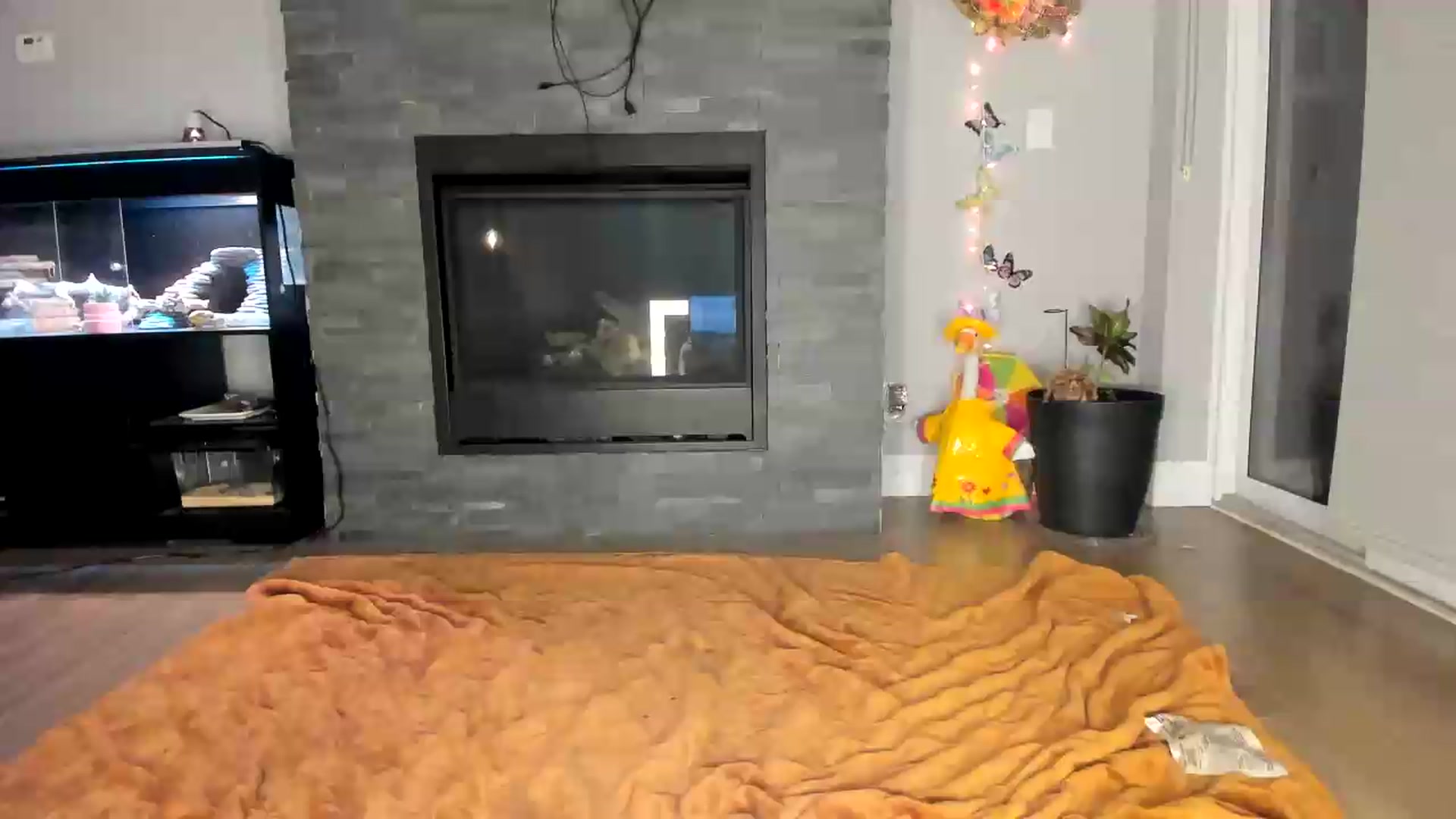 Gallery image thumbnail from Laurel's myfreecams stream on, 09/08/2026, 04:31 image 10 of 20