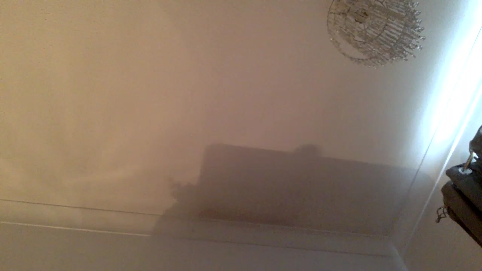 Gallery image thumbnail from Laurenxx1's myfreecams stream on, 01/01/2023, 13:55 image 19 of 20
