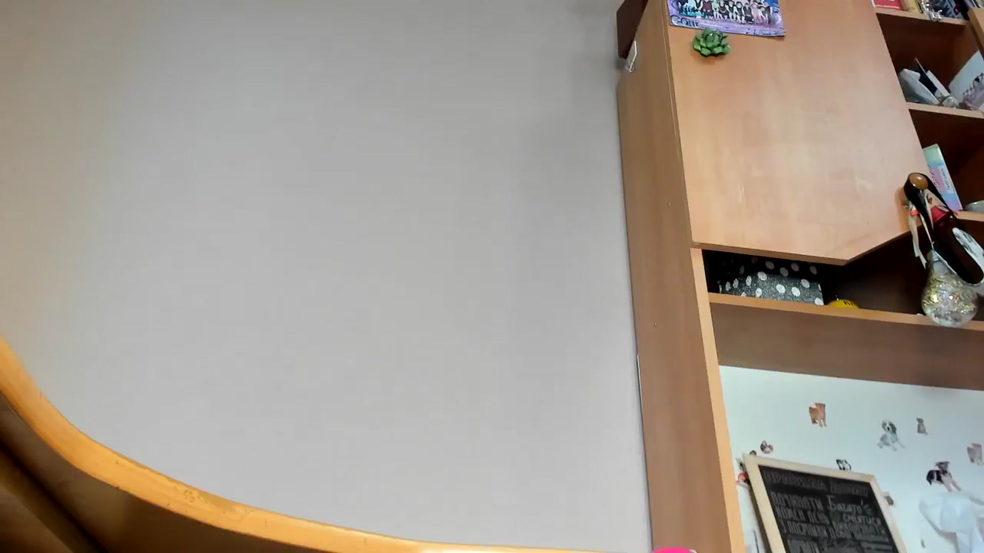 Gallery image thumbnail from Lavina_grey's myfreecams stream on, 05/28/2025, 15:24 image 15 of 20