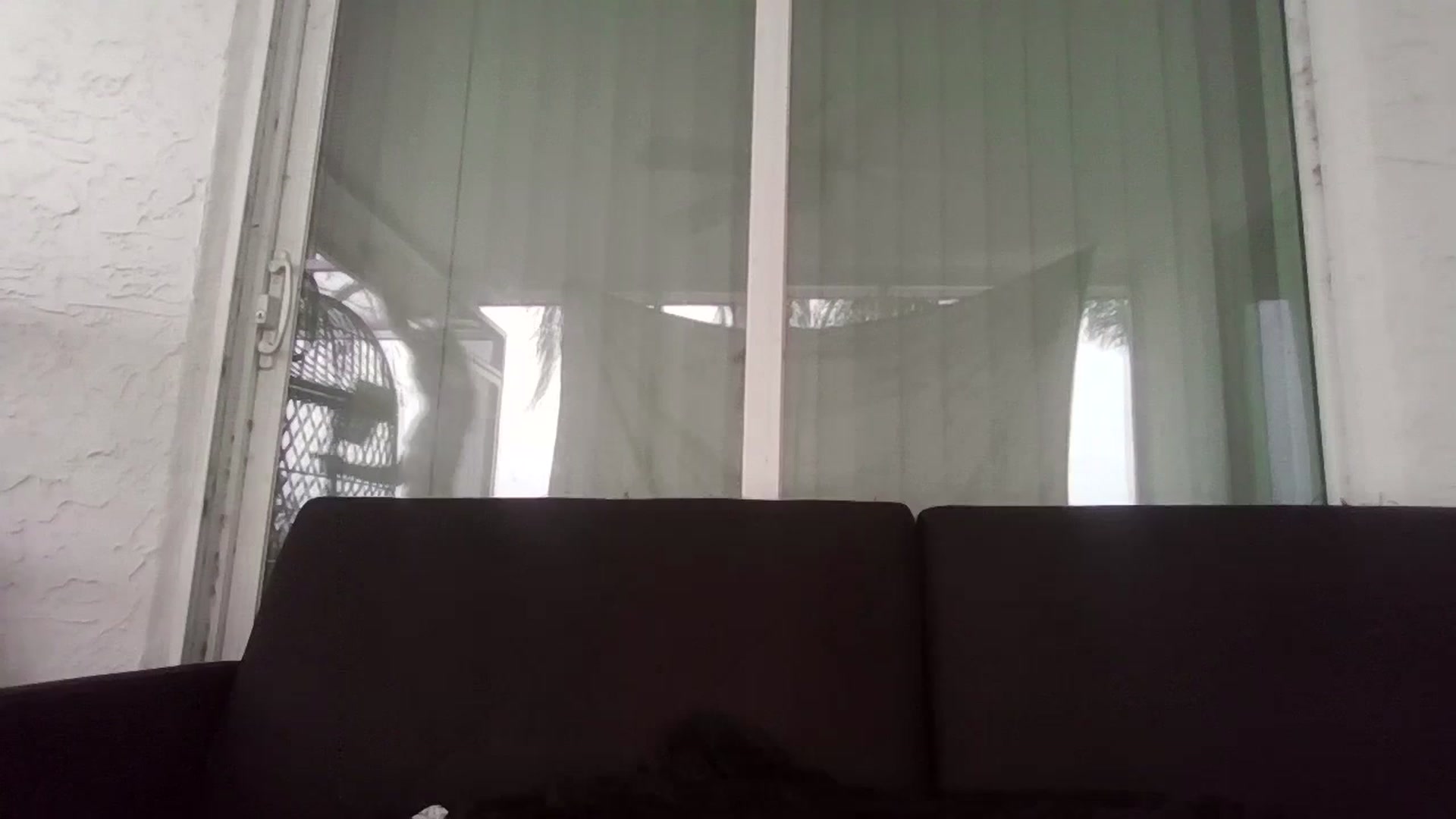 Gallery image thumbnail from Laylarainvip's myfreecams stream on, 12/06/2025, 13:49 image 20 of 20