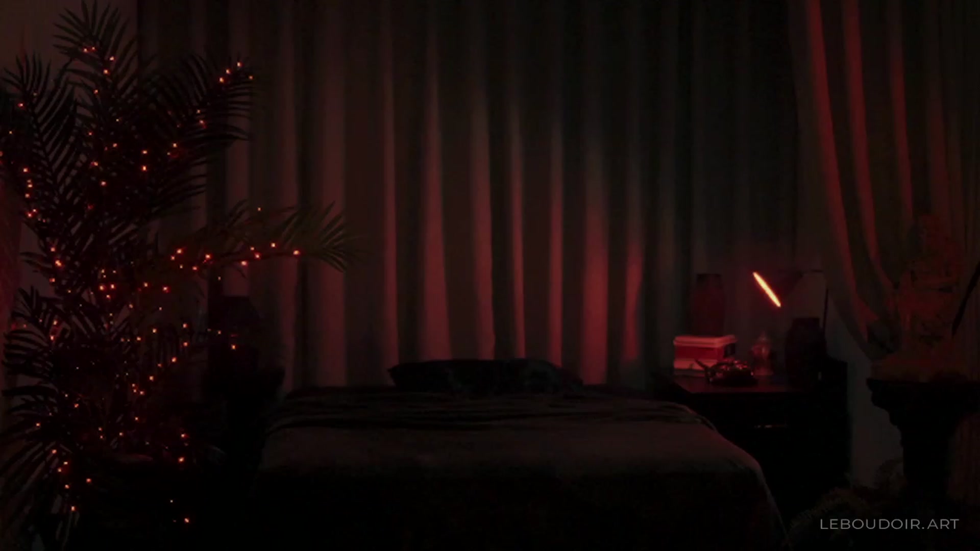 Gallery image thumbnail from LeBoudoir's myfreecams stream on, 12/24/2023, 08:29 image 17 of 20