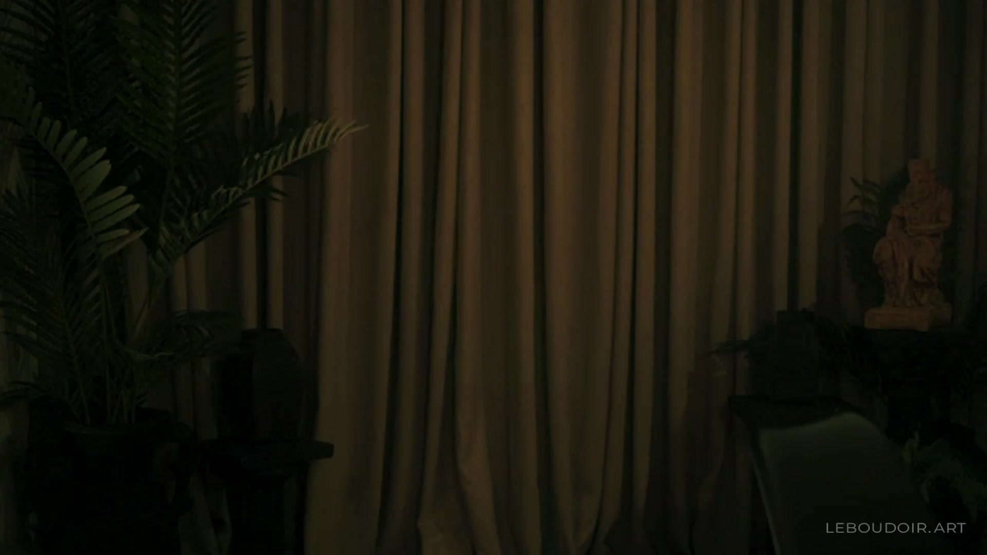 Gallery image thumbnail from LeBoudoir's myfreecams stream on, 12/30/2023, 04:55 image 9 of 20