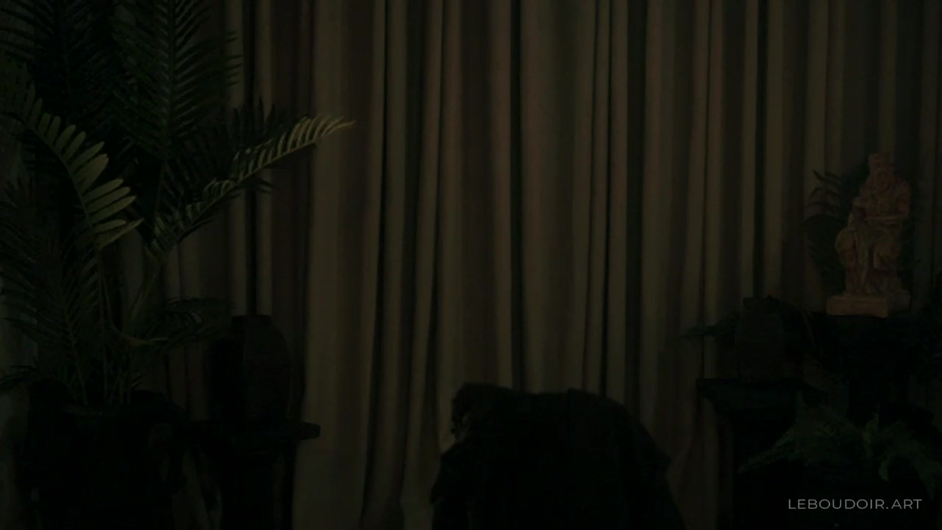 Gallery image thumbnail from LeBoudoir's myfreecams stream on, 12/30/2023, 04:55 image 15 of 20