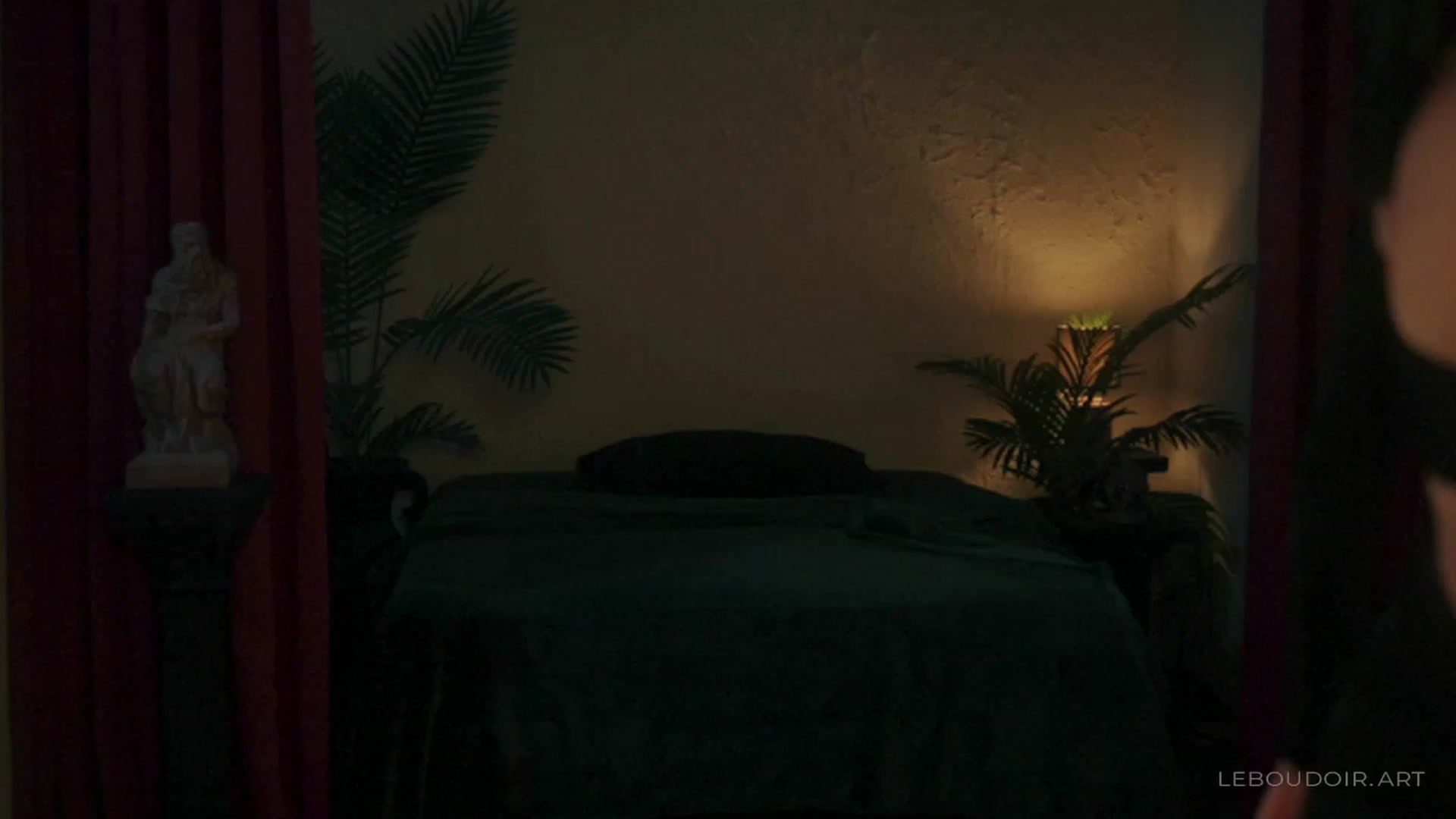 Gallery image thumbnail from LeBoudoir's myfreecams stream on, 12/31/2023, 06:47 image 15 of 20