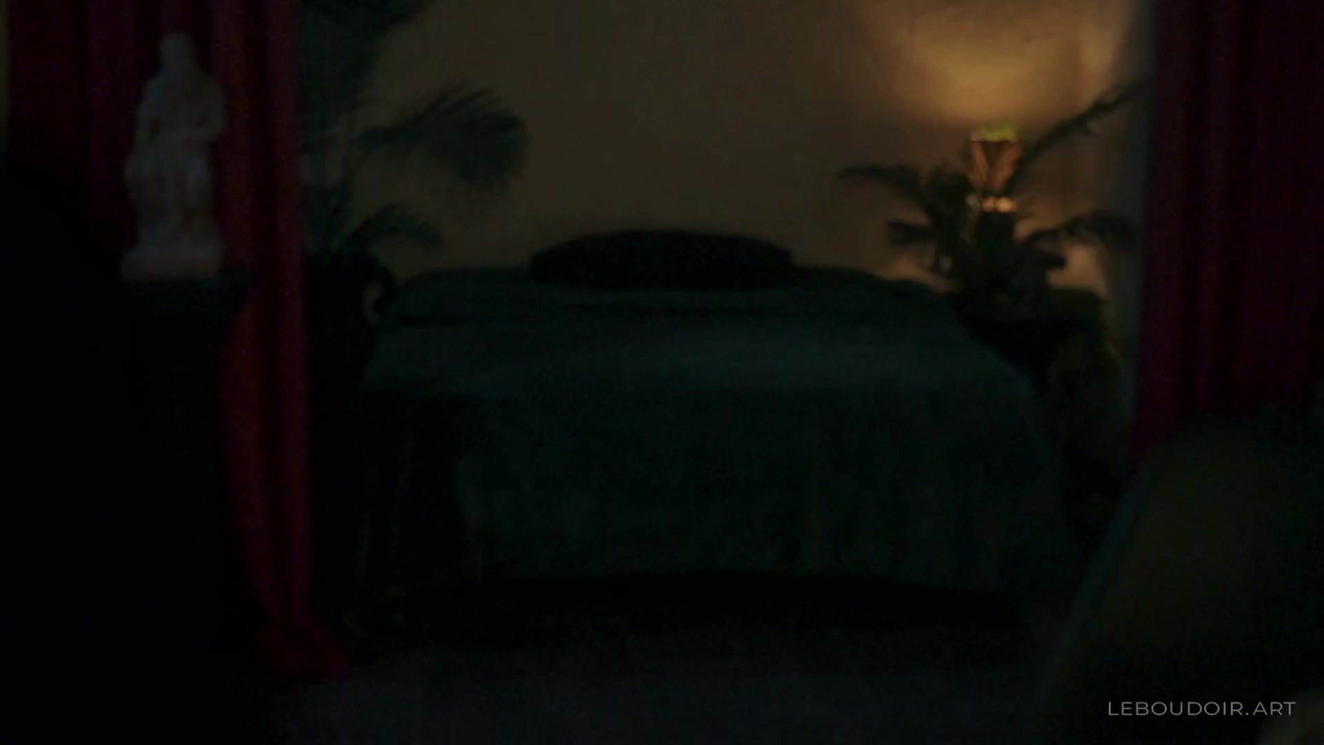 Gallery image thumbnail from LeBoudoir's myfreecams stream on, 12/31/2023, 09:07 image 3 of 20