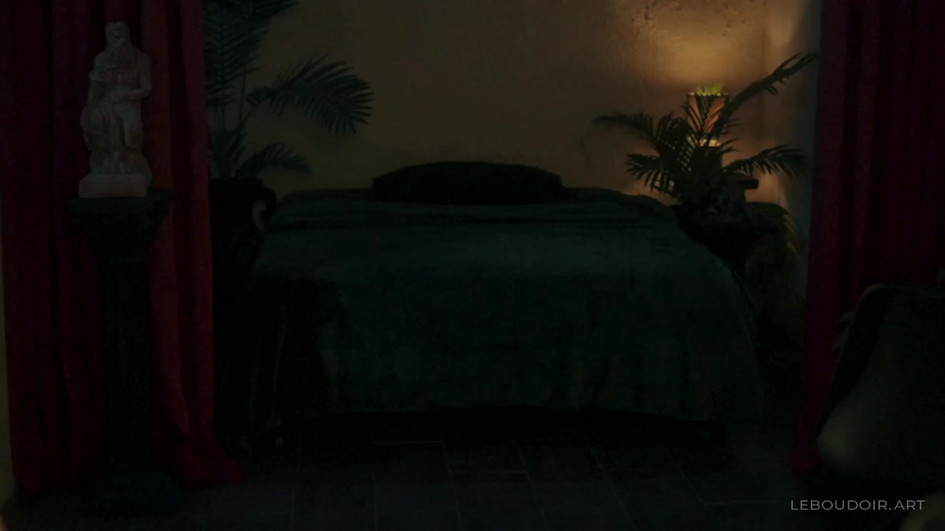 Gallery image thumbnail from LeBoudoir's myfreecams stream on, 12/31/2023, 09:07 image 1 of 20