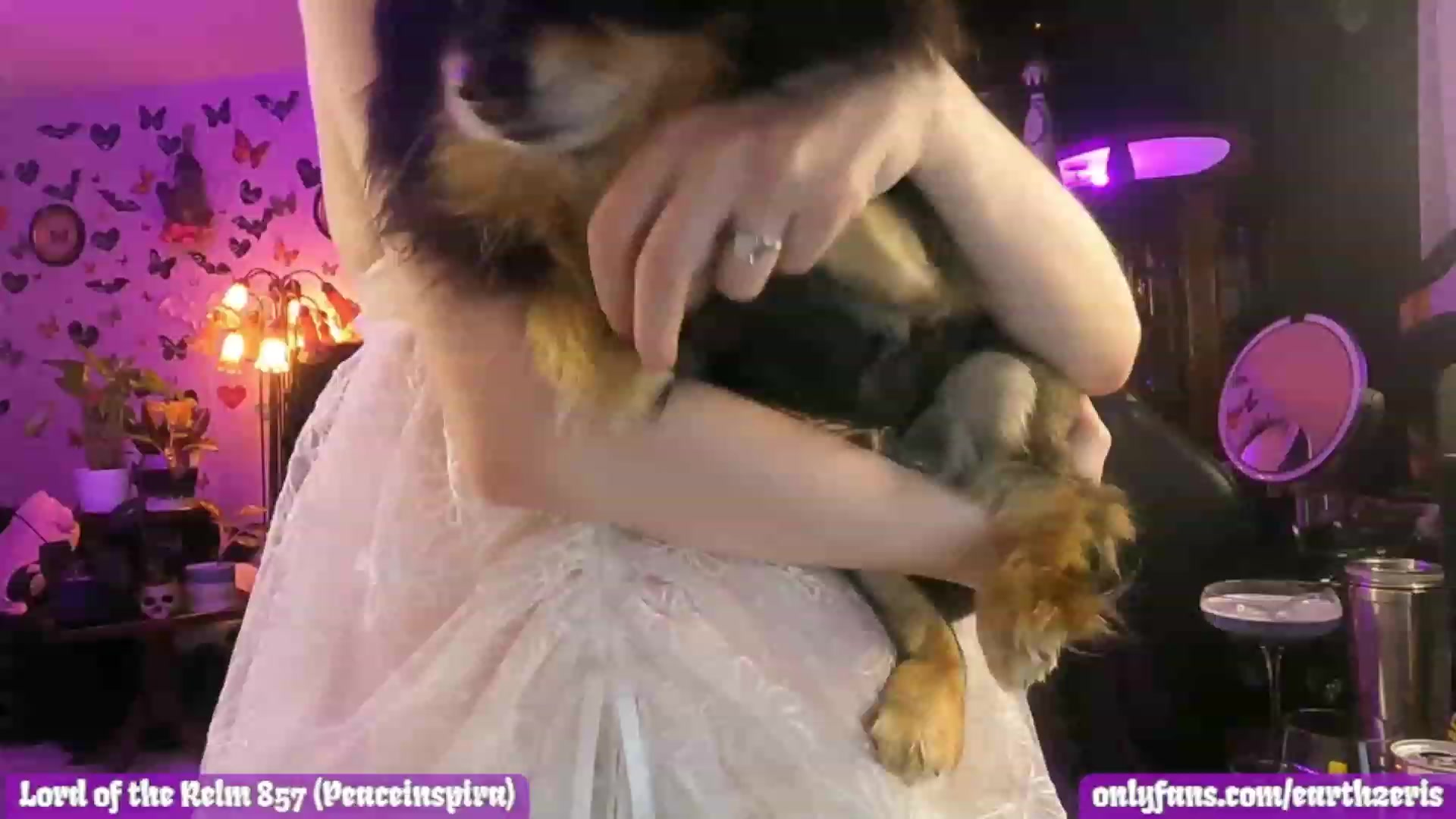 Gallery image thumbnail from LePetiteMort's myfreecams stream on, 05/29/2023, 01:31 image 15 of 20