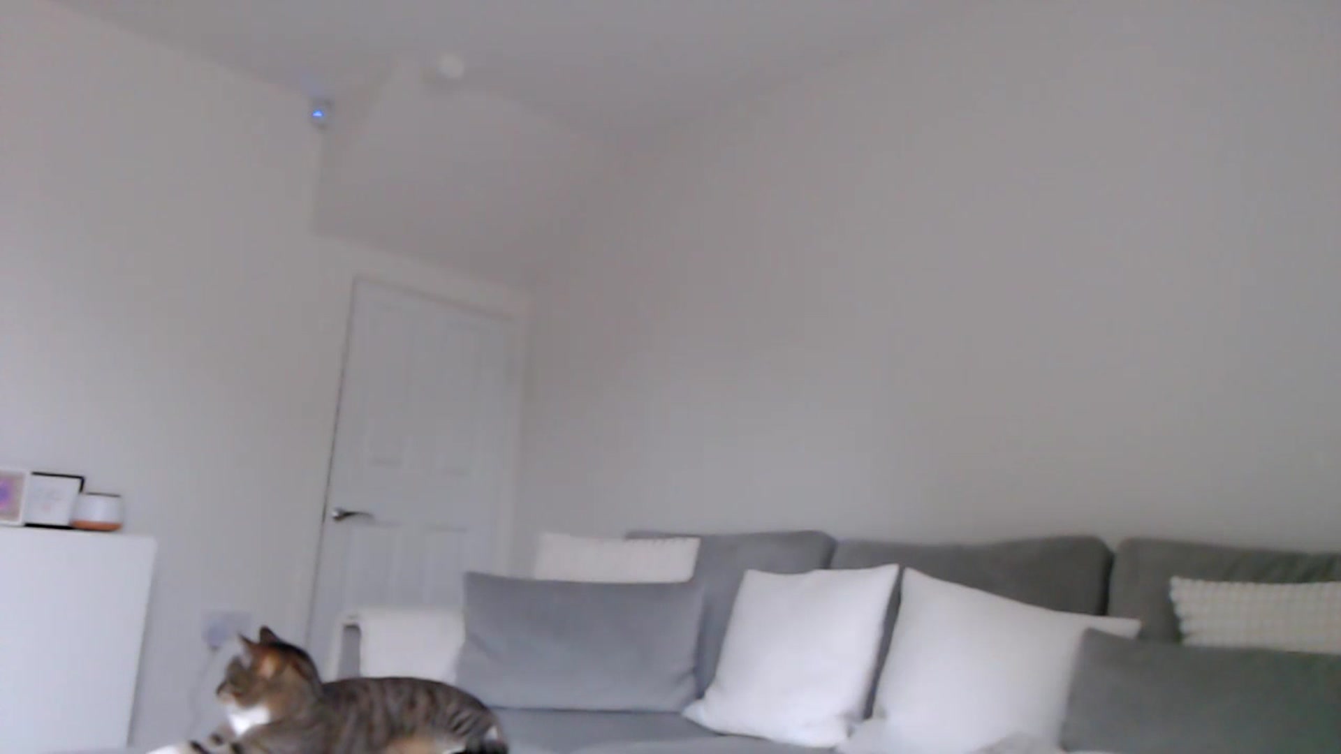 Gallery image thumbnail from LeaIson's myfreecams stream on, 01/12/2024, 12:18 image 20 of 20