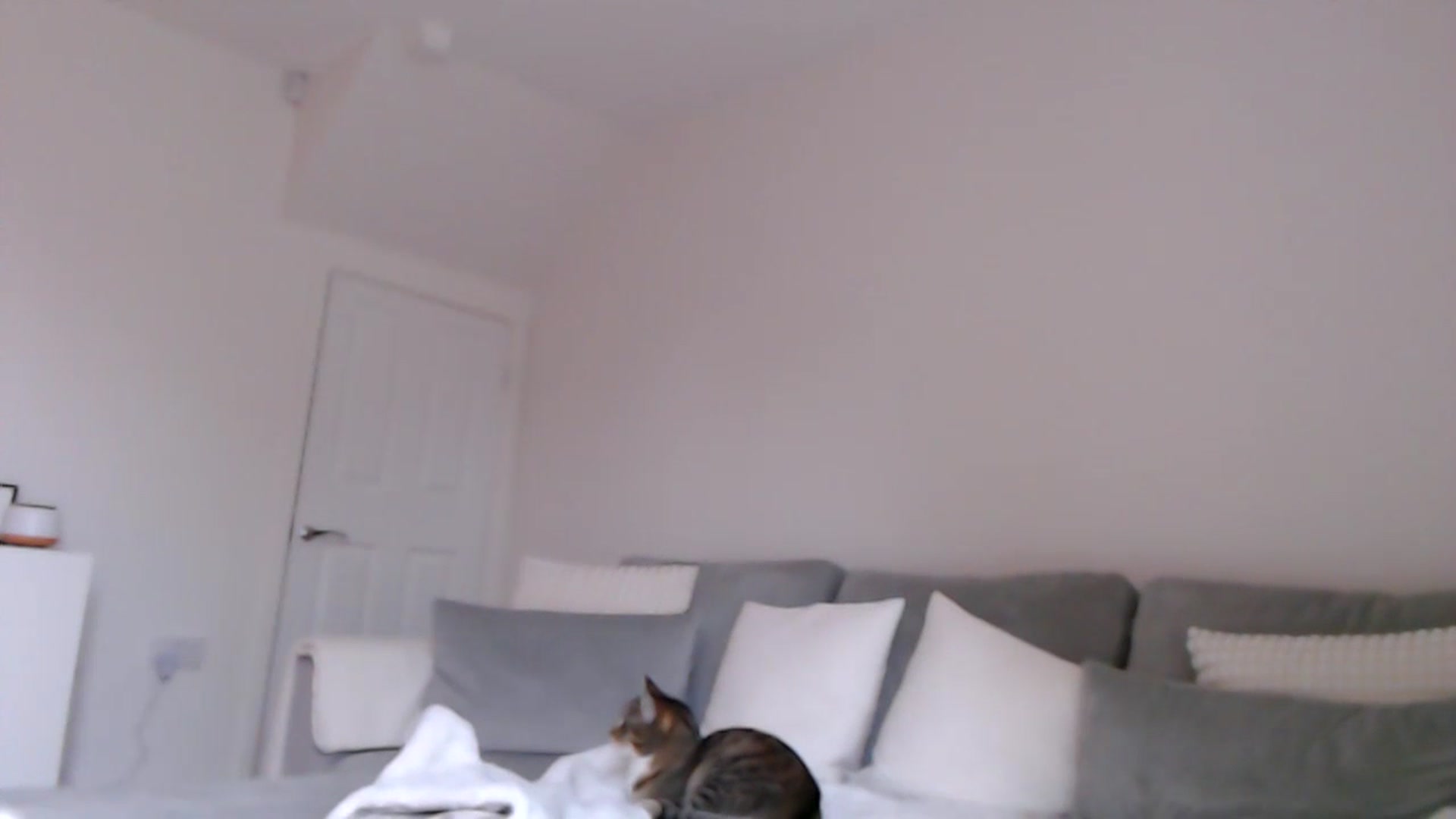 Gallery image thumbnail from LeaIson's myfreecams stream on, 01/12/2024, 13:07 image 14 of 20