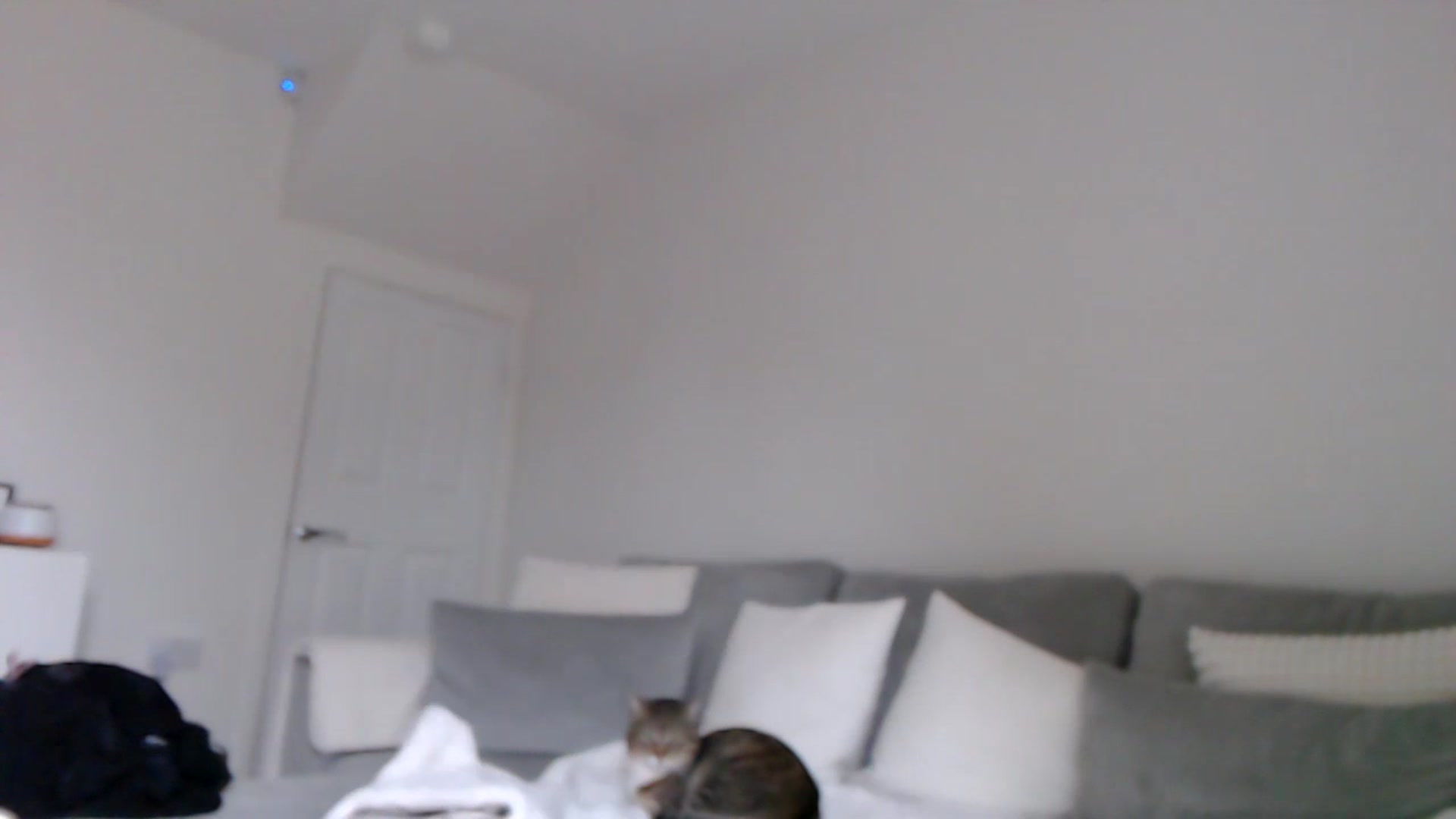Gallery image thumbnail from LeaIson's myfreecams stream on, 01/12/2024, 13:07 image 13 of 20