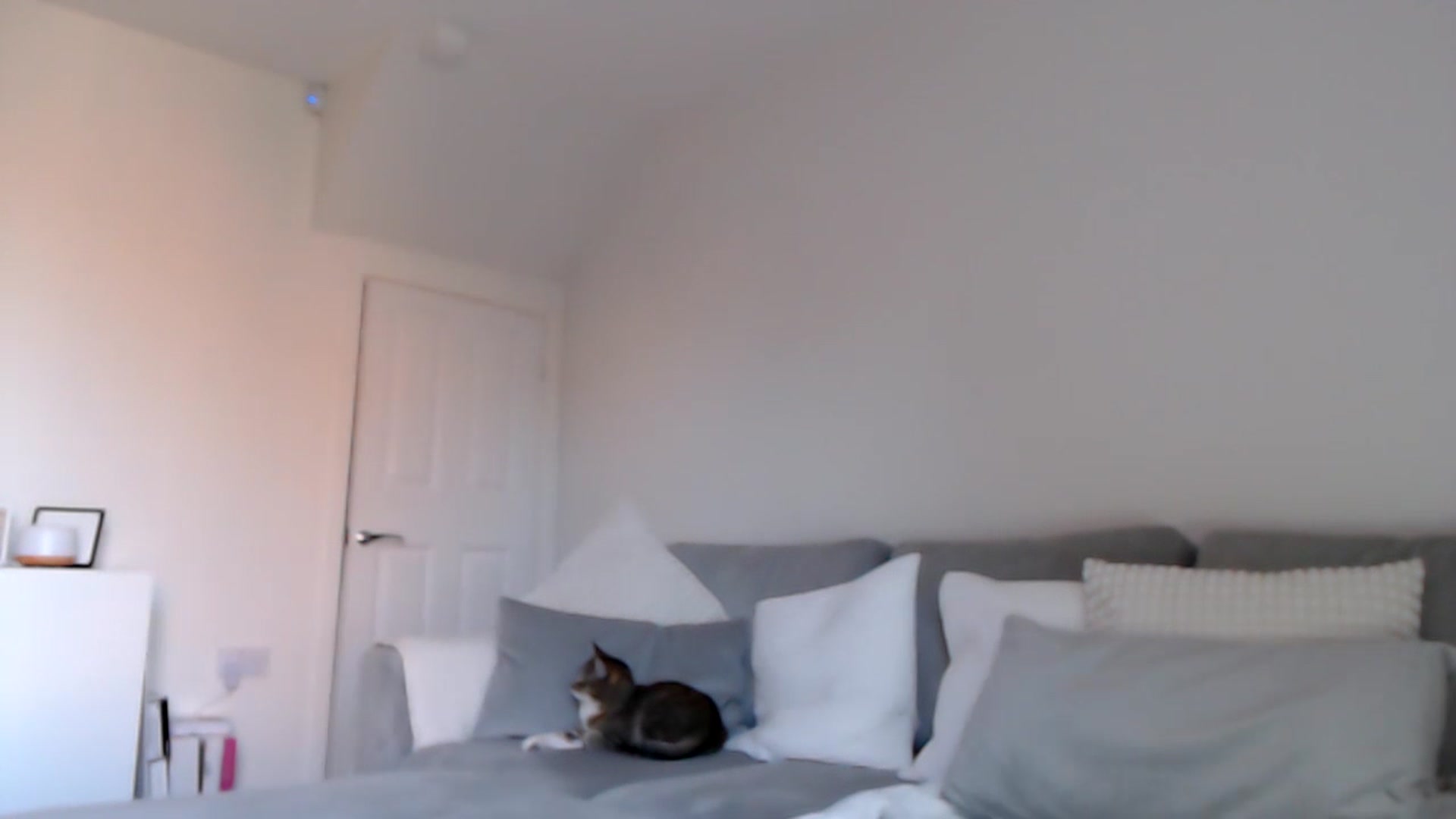 Gallery image thumbnail from LeaIson's myfreecams stream on, 02/01/2024, 11:46 image 2 of 20
