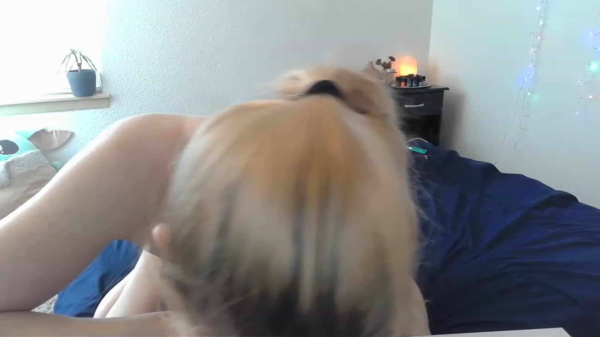 Gallery image thumbnail from Leeleigh1's myfreecams stream on, 04/03/2023, 24:16 image 11 of 20