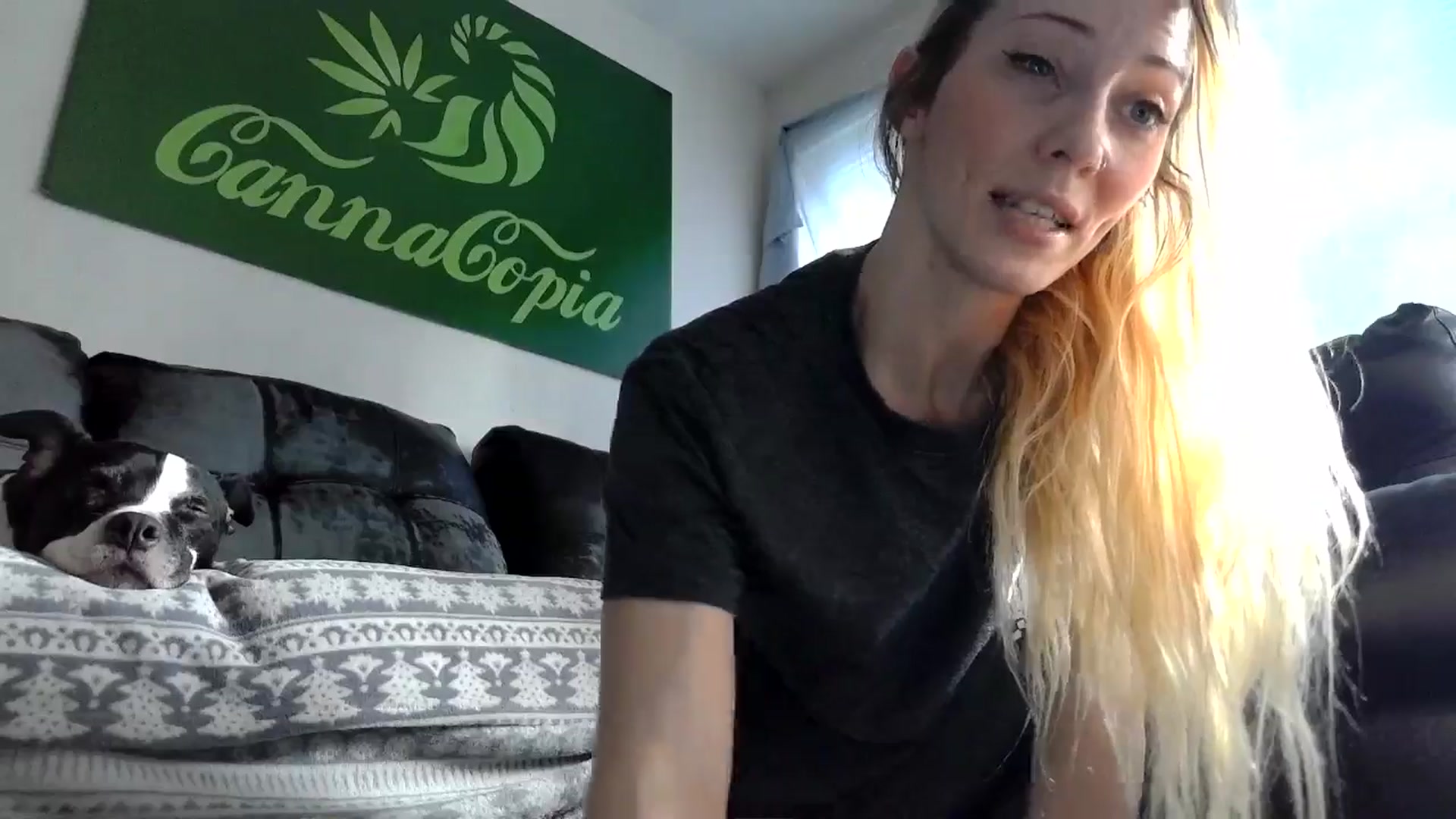 Gallery image thumbnail from Leeleigh1's myfreecams stream on, 05/17/2025, 17:34 image 2 of 20