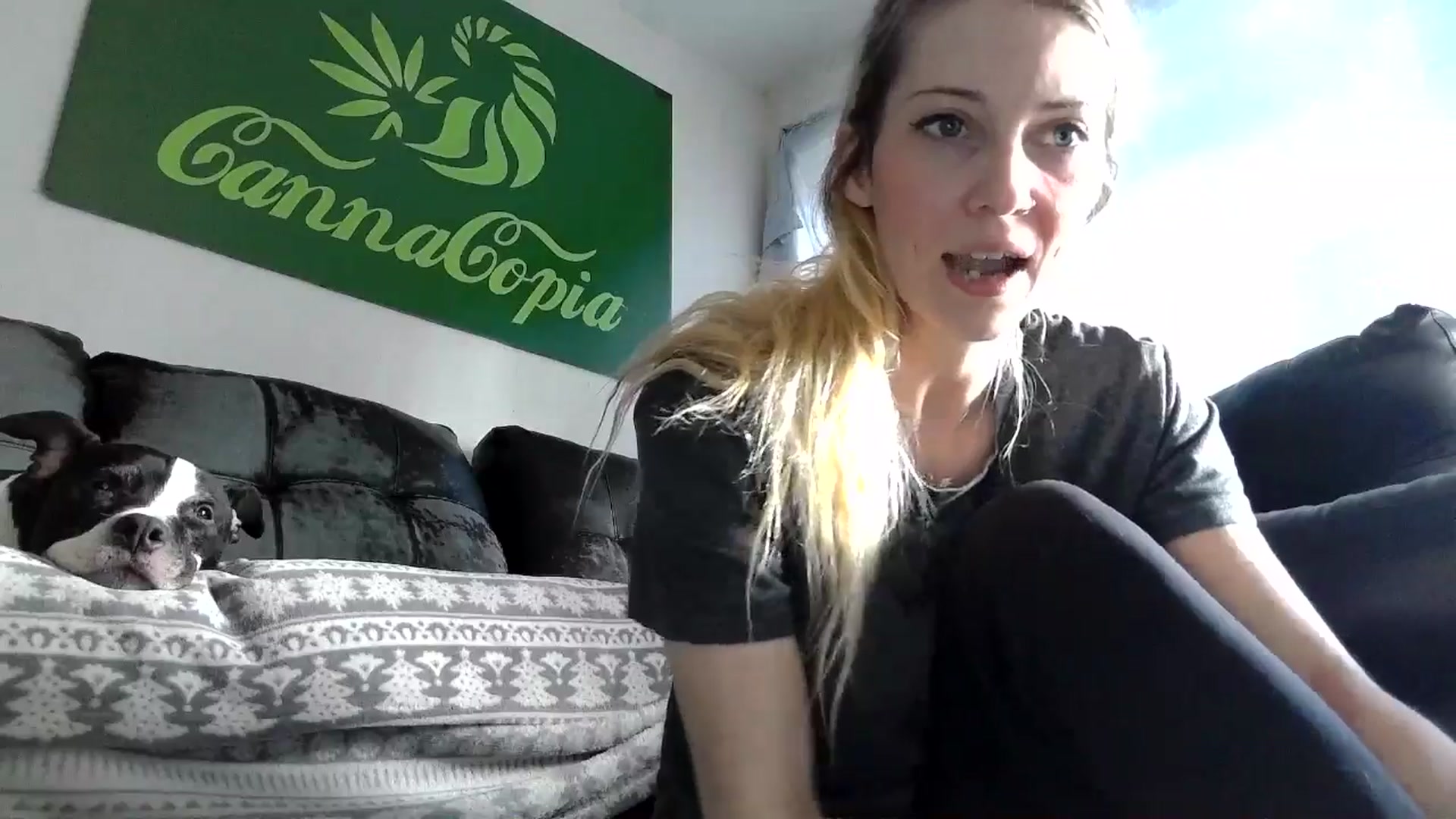 Gallery image thumbnail from Leeleigh1's myfreecams stream on, 05/17/2025, 17:34 image 3 of 20