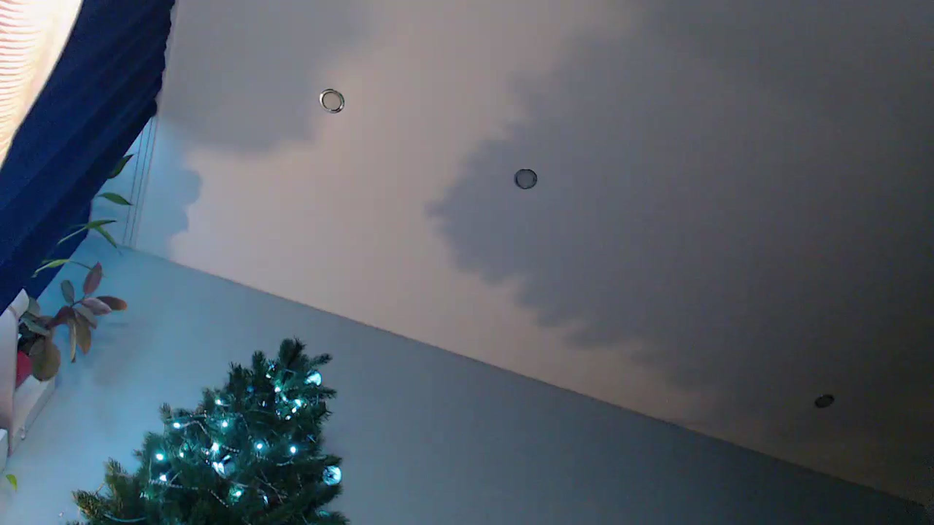Gallery image thumbnail from LegsKate's myfreecams stream on, 12/08/2024, 10:07 image 14 of 20