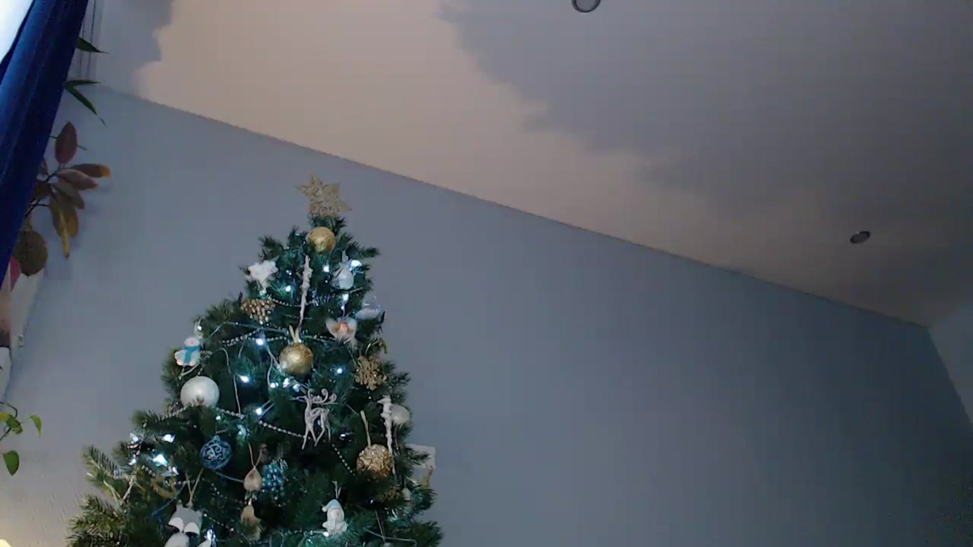 Gallery image thumbnail from LegsKate's myfreecams stream on, 12/12/2024, 08:55 image 7 of 20