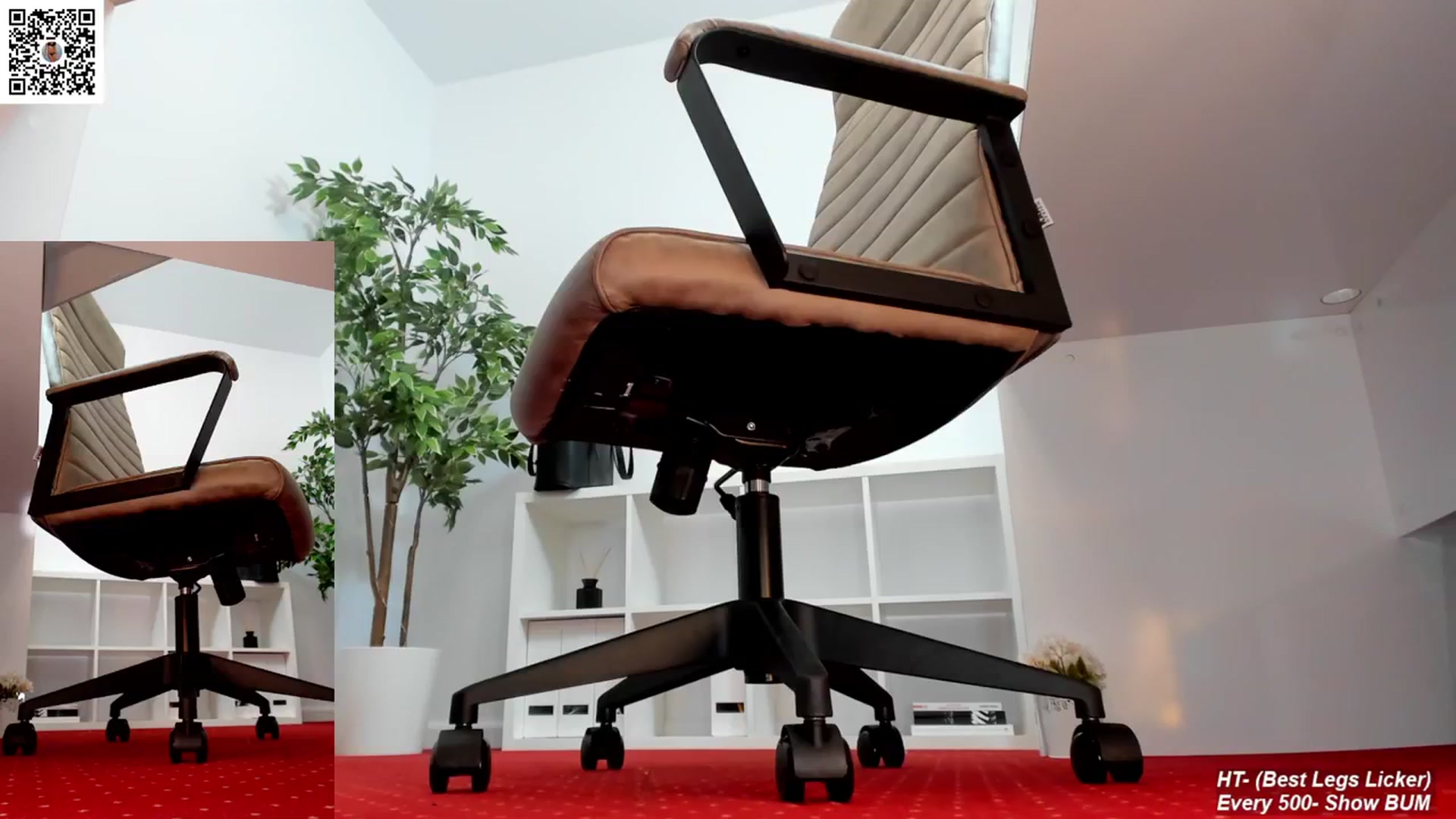 Gallery image thumbnail from LegswAttitude's myfreecams stream on, 03/13/2024, 11:45 image 14 of 20