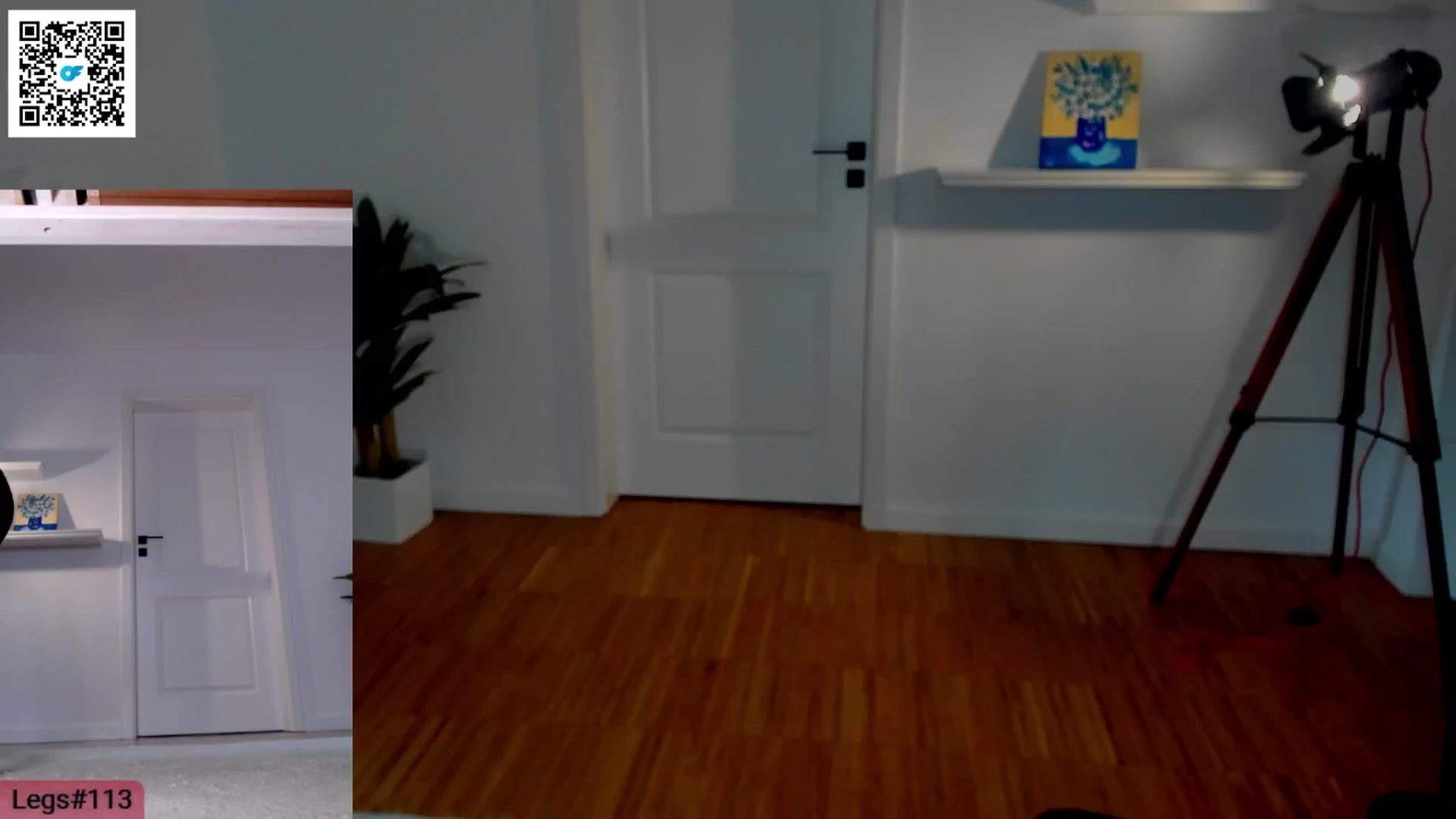 Gallery image thumbnail from LegswAttitude's myfreecams stream on, 05/25/2024, 14:06 image 7 of 20
