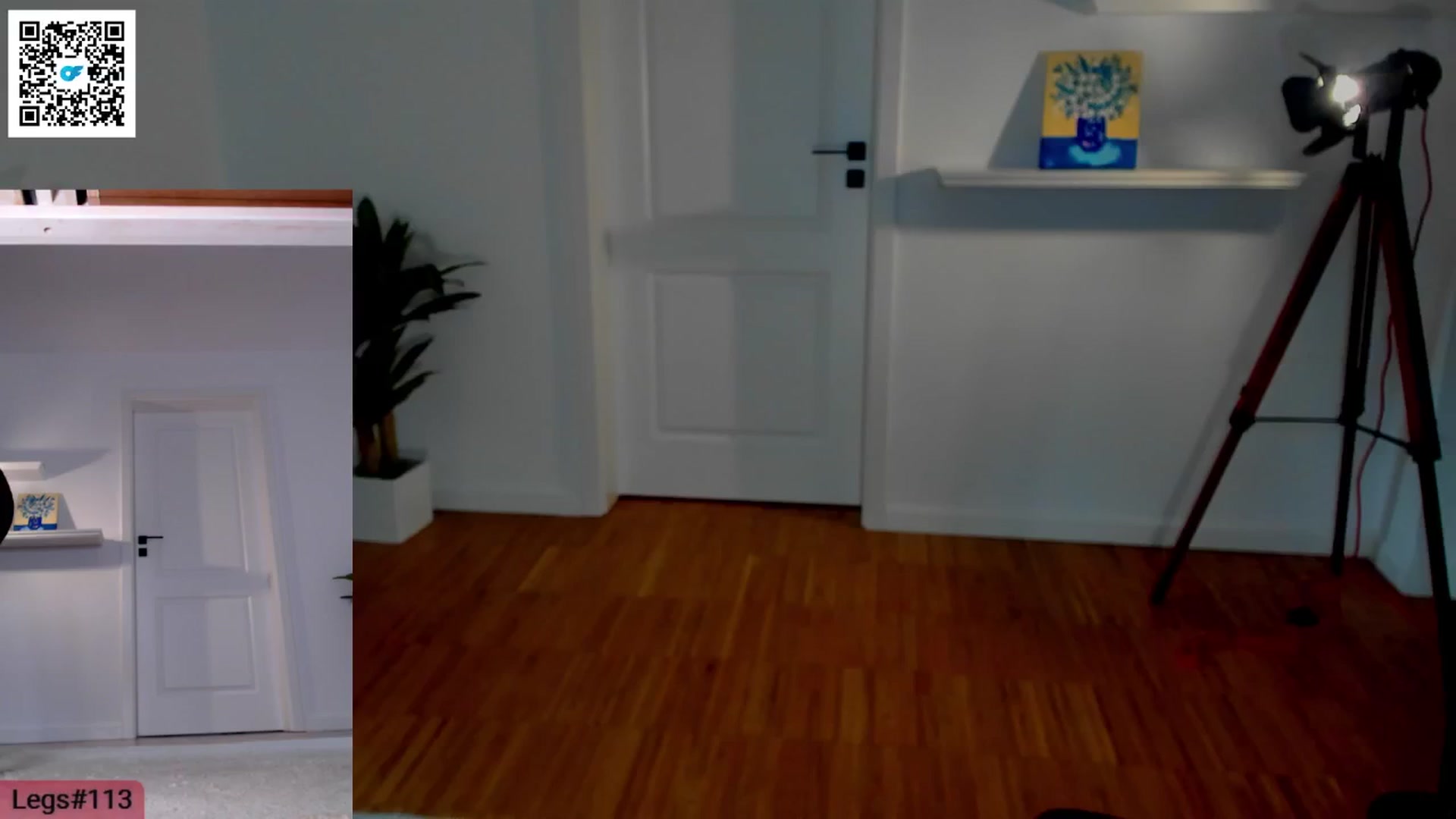 Gallery image thumbnail from LegswAttitude's myfreecams stream on, 05/25/2024, 14:06 image 8 of 20