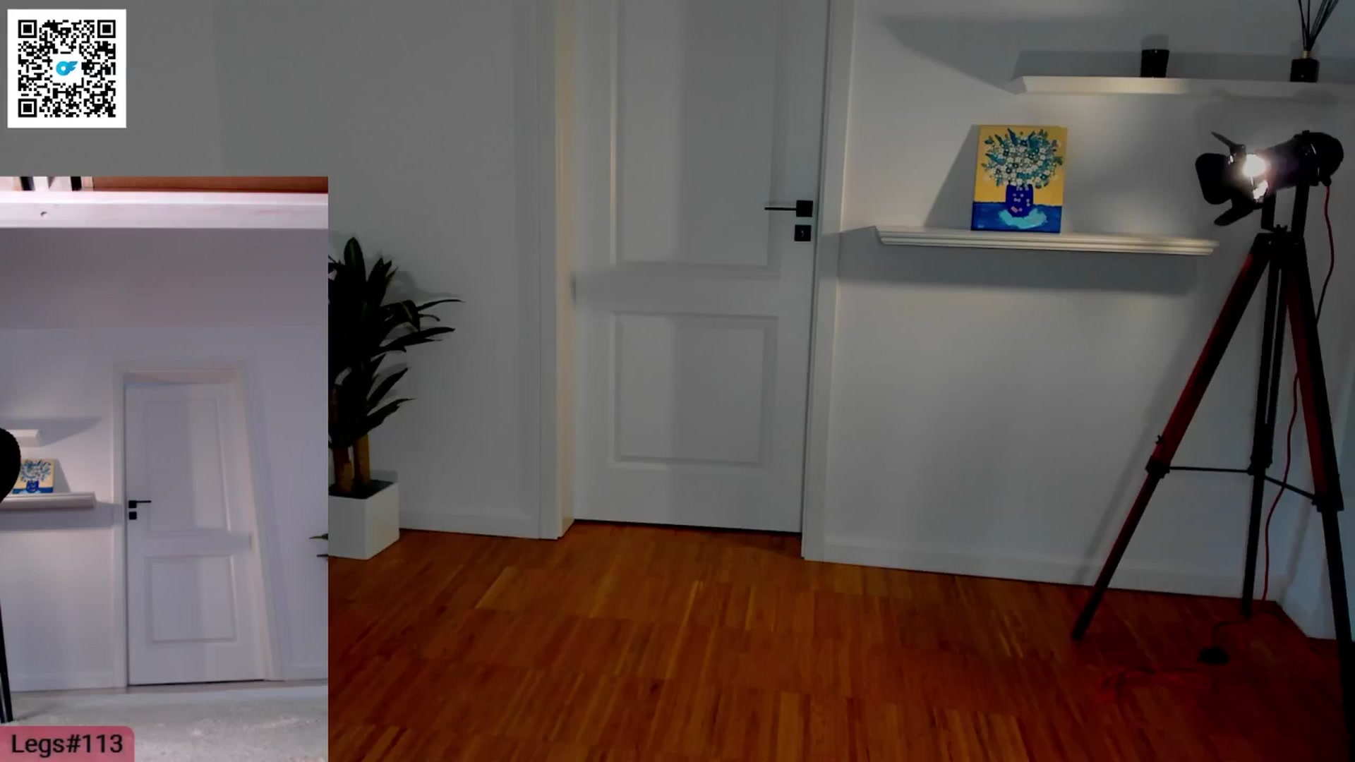 Gallery image thumbnail from LegswAttitude's myfreecams stream on, 05/25/2024, 14:06 image 2 of 20