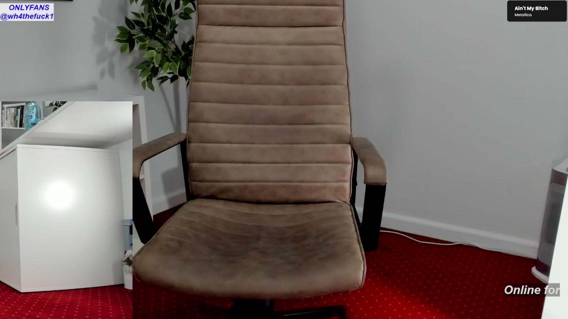 Gallery image thumbnail from LegswAttitude's myfreecams stream on, 02/25/2026, 15:56 image 8 of 20