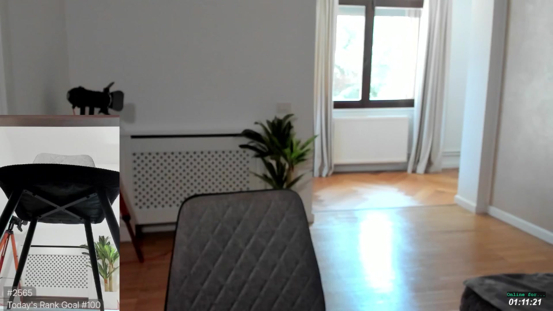 Gallery image thumbnail from LegswAttitude's myfreecams stream on, 04/16/2026, 12:33 image 9 of 20
