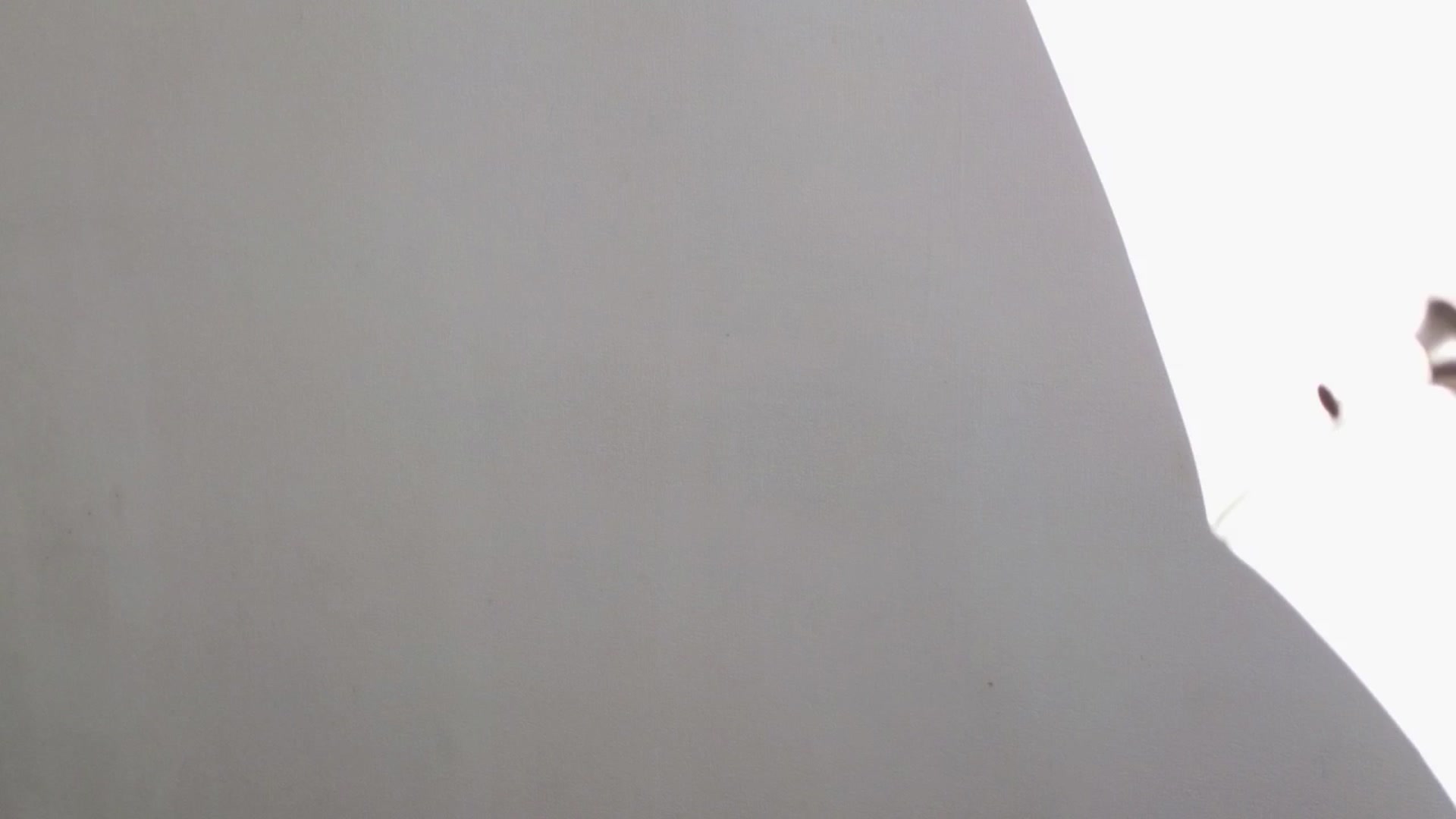 Gallery image thumbnail from LeksWest's myfreecams stream on, 04/28/2024, 14:06 image 20 of 20