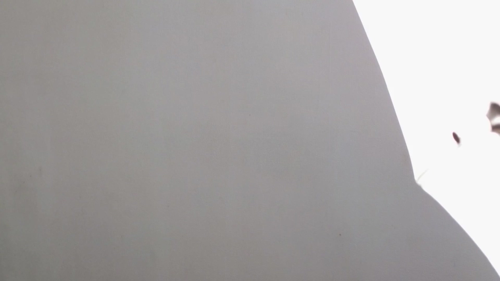Gallery image thumbnail from LeksWest's myfreecams stream on, 04/28/2024, 14:06 image 17 of 20