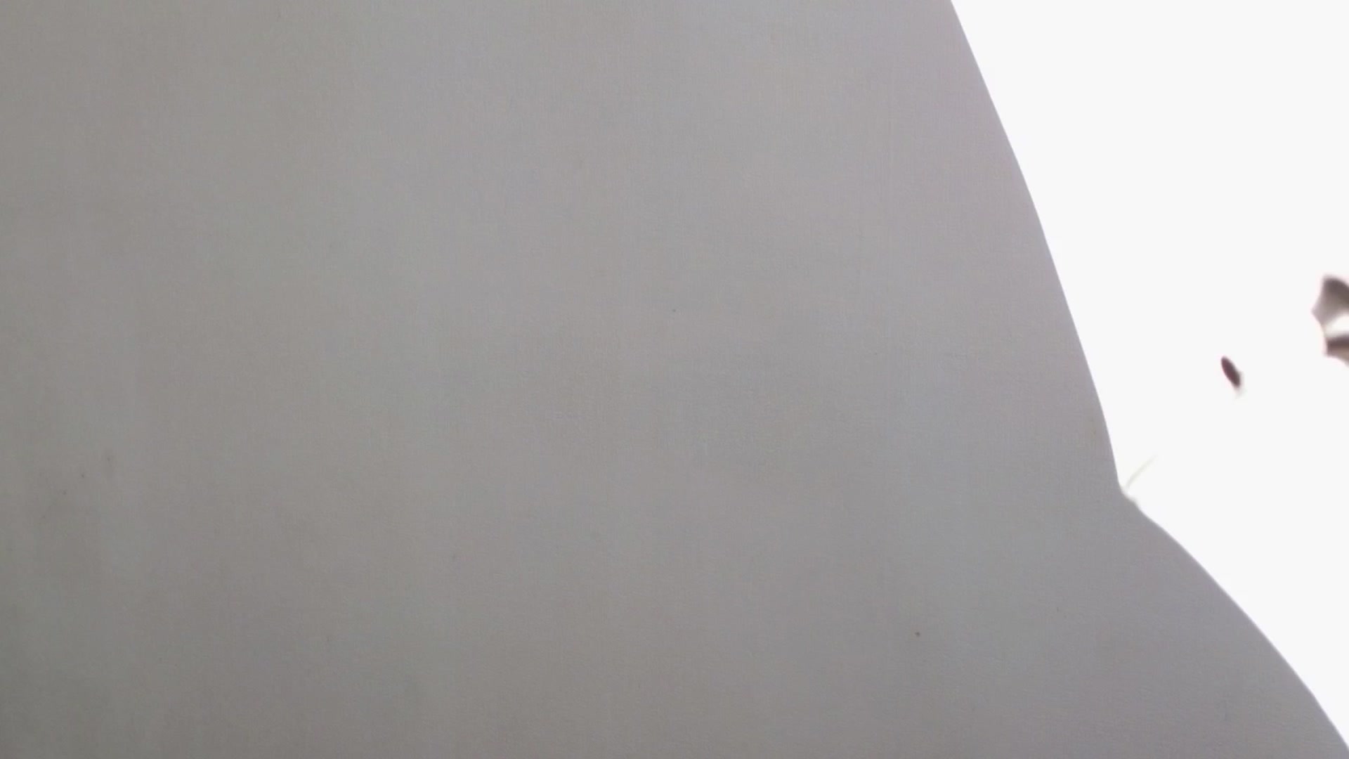 Gallery image thumbnail from LeksWest's myfreecams stream on, 04/28/2024, 14:06 image 16 of 20