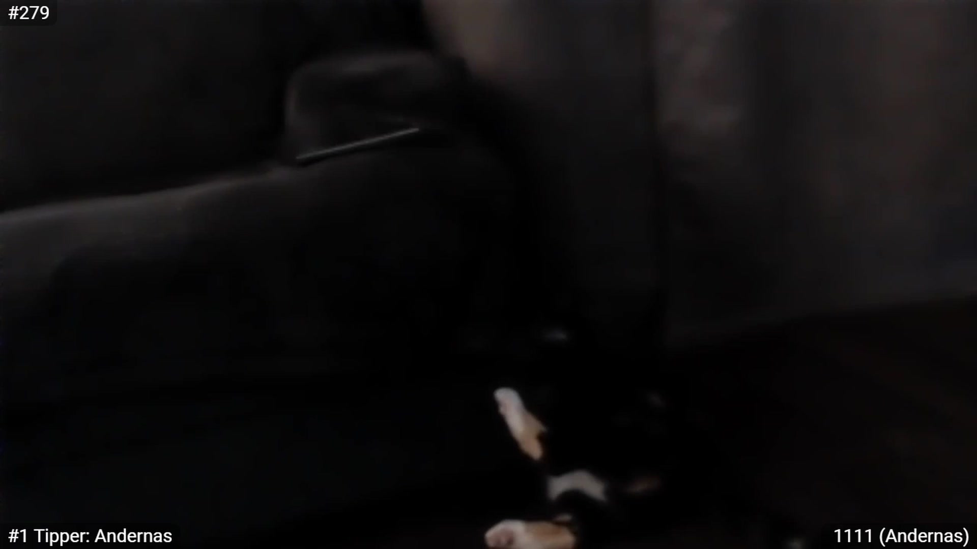 Gallery image thumbnail from LemonMochi's myfreecams stream on, 09/03/2023, 24:05 image 9 of 20