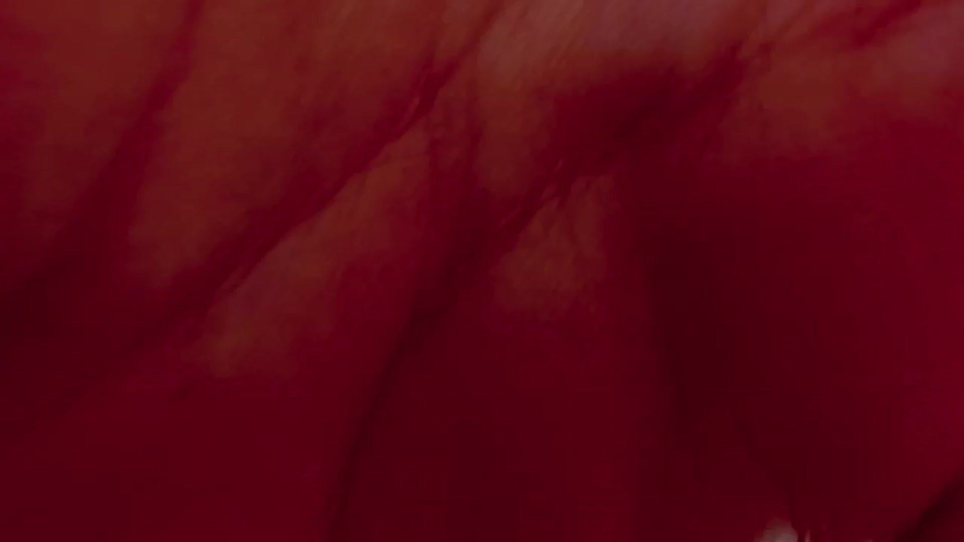 Gallery image thumbnail from LenaBabyGirl's myfreecams stream on, 03/07/2023, 20:06 image 5 of 20