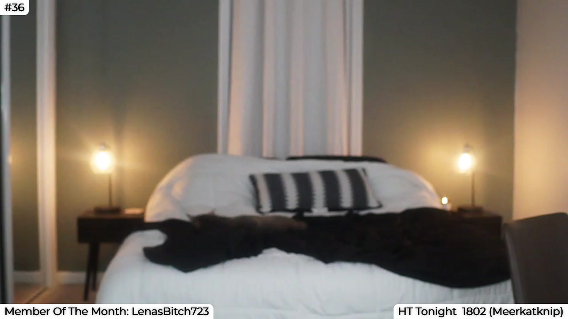 Gallery image thumbnail from LenaDanzara's myfreecams stream on, 08/17/2023, 07:25 image 18 of 20