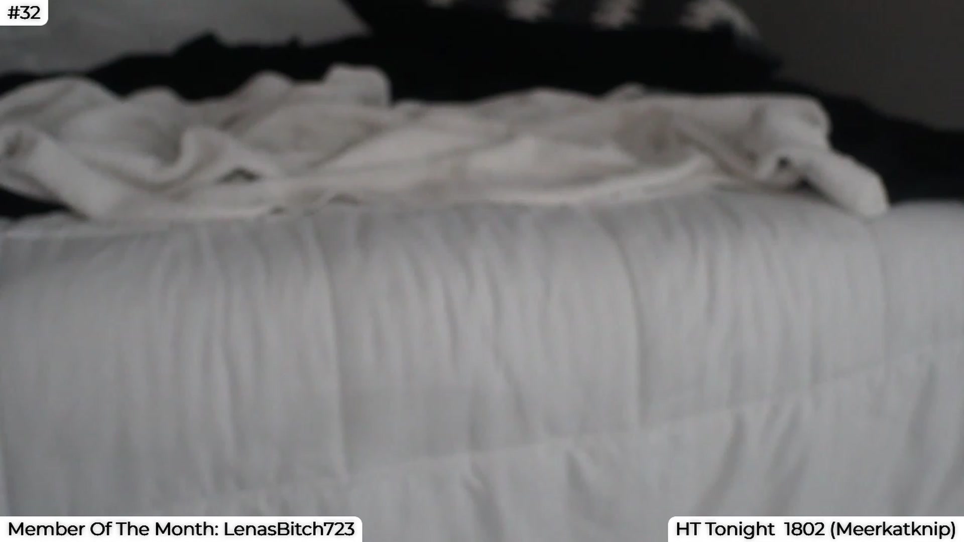 Gallery image thumbnail from LenaDanzara's myfreecams stream on, 08/17/2023, 08:32 image 15 of 20