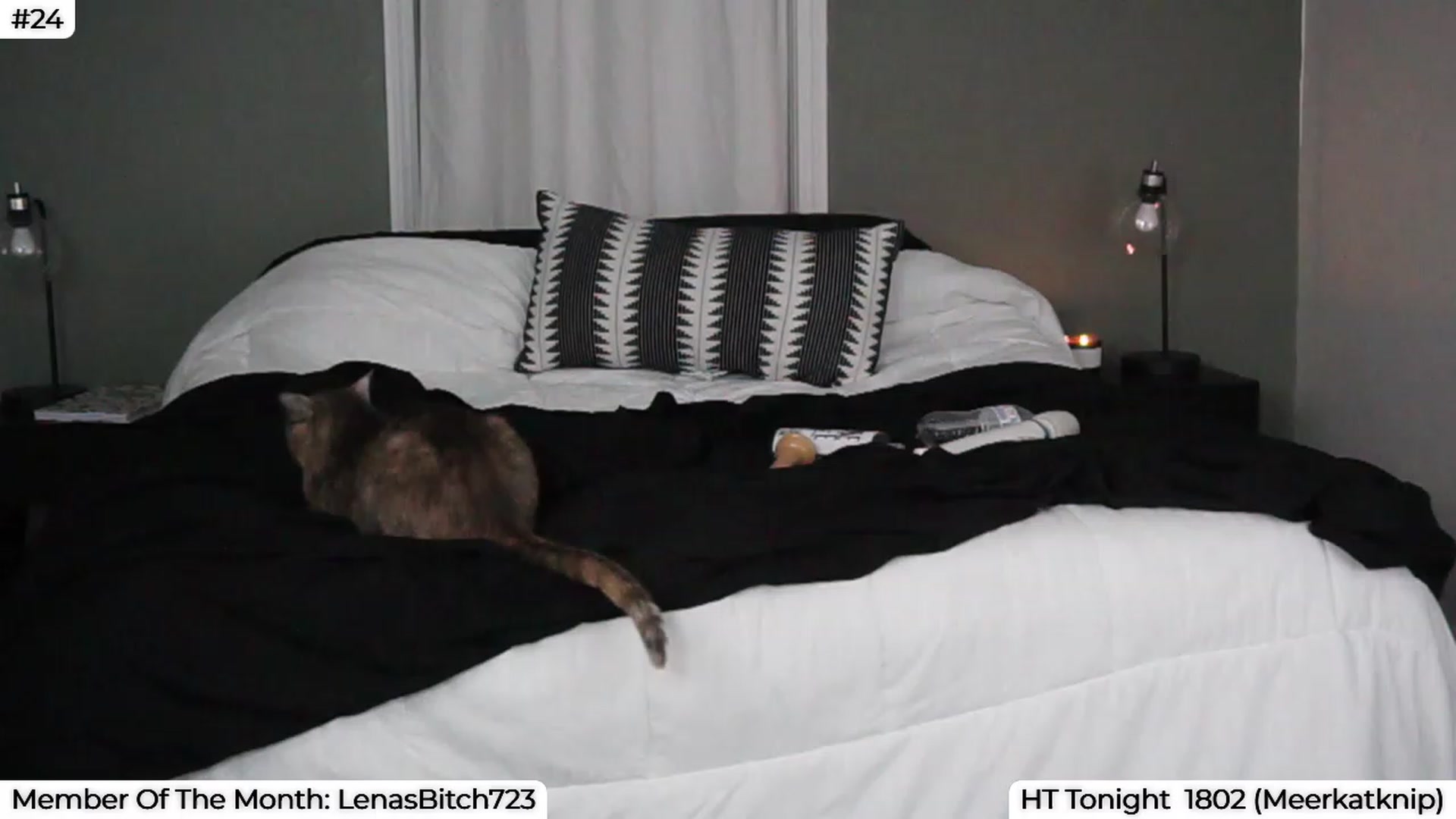 Gallery image thumbnail from LenaDanzara's myfreecams stream on, 08/17/2023, 11:35 image 3 of 20