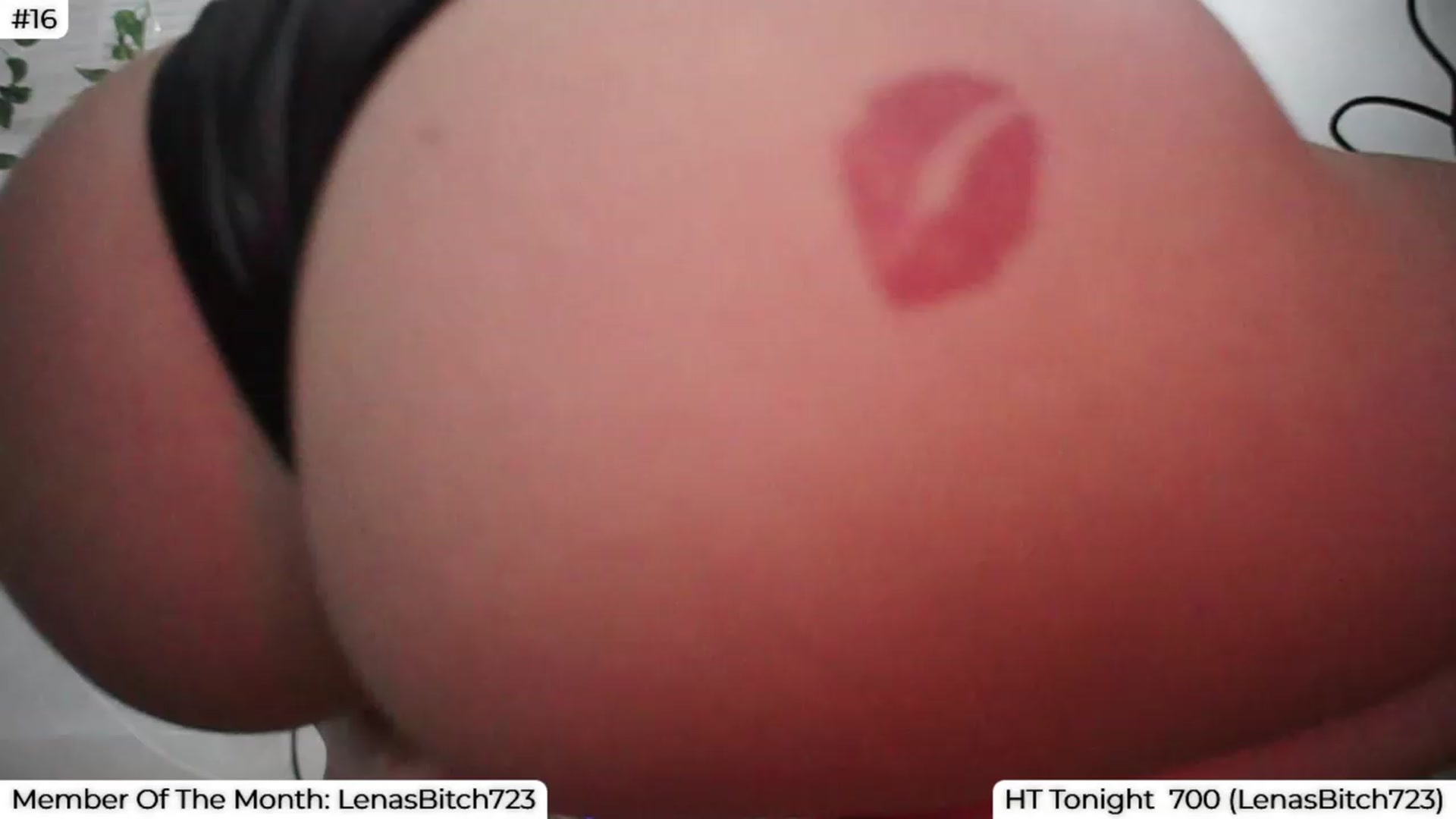 Gallery image thumbnail from LenaDanzara's myfreecams stream on, 08/30/2023, 07:05 image 9 of 20