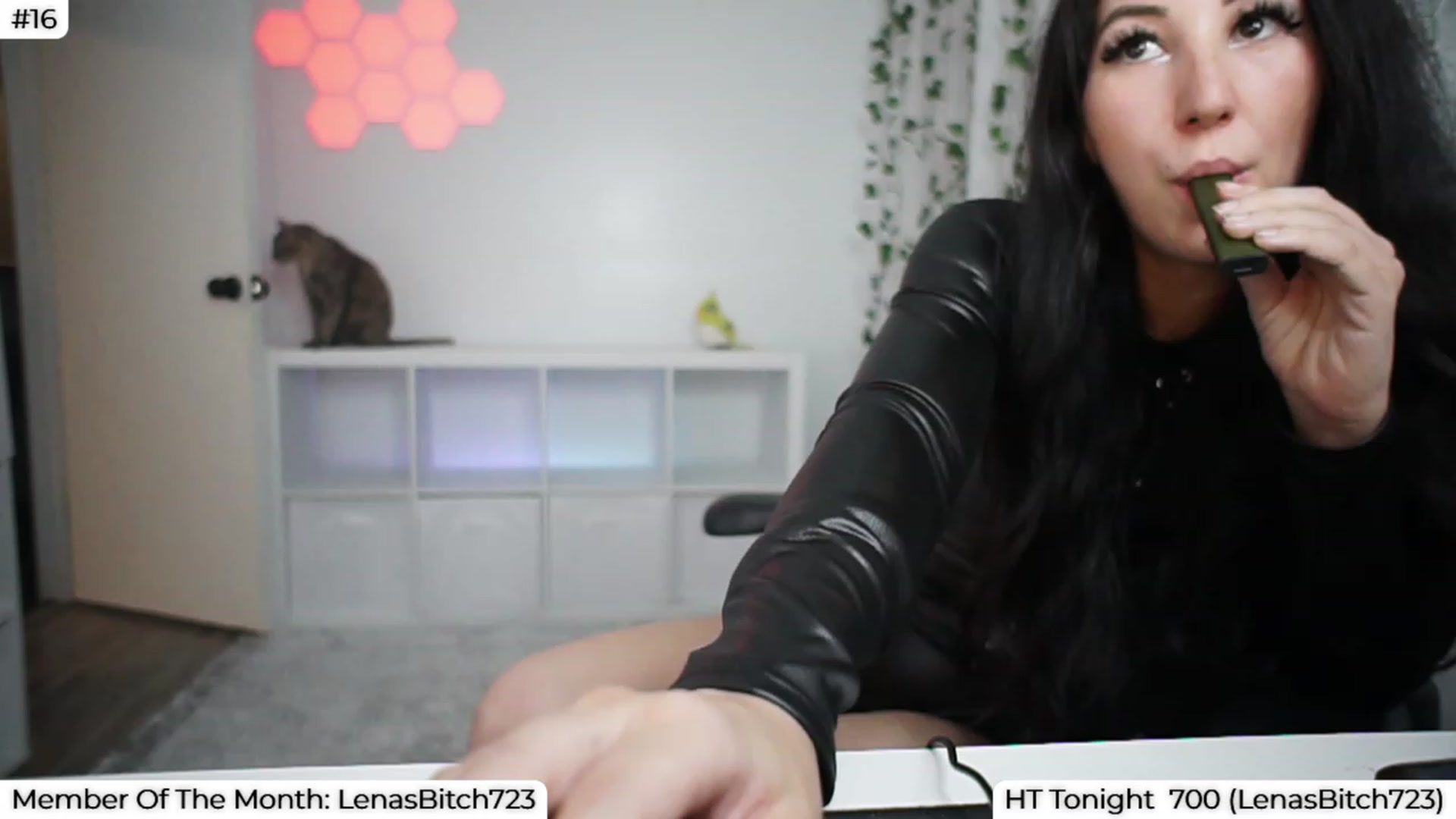 Gallery image thumbnail from LenaDanzara's myfreecams stream on, 08/30/2023, 07:05 image 6 of 20