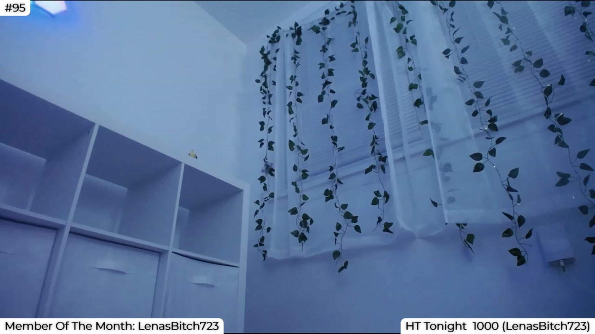 Gallery image thumbnail from LenaDanzara's myfreecams stream on, 09/08/2023, 09:13 image 14 of 20