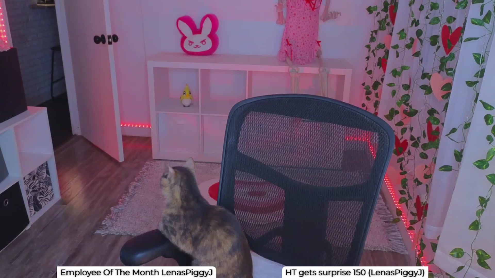 Gallery image thumbnail from LenaDanzara's myfreecams stream on, 01/24/2024, 09:45 image 9 of 20