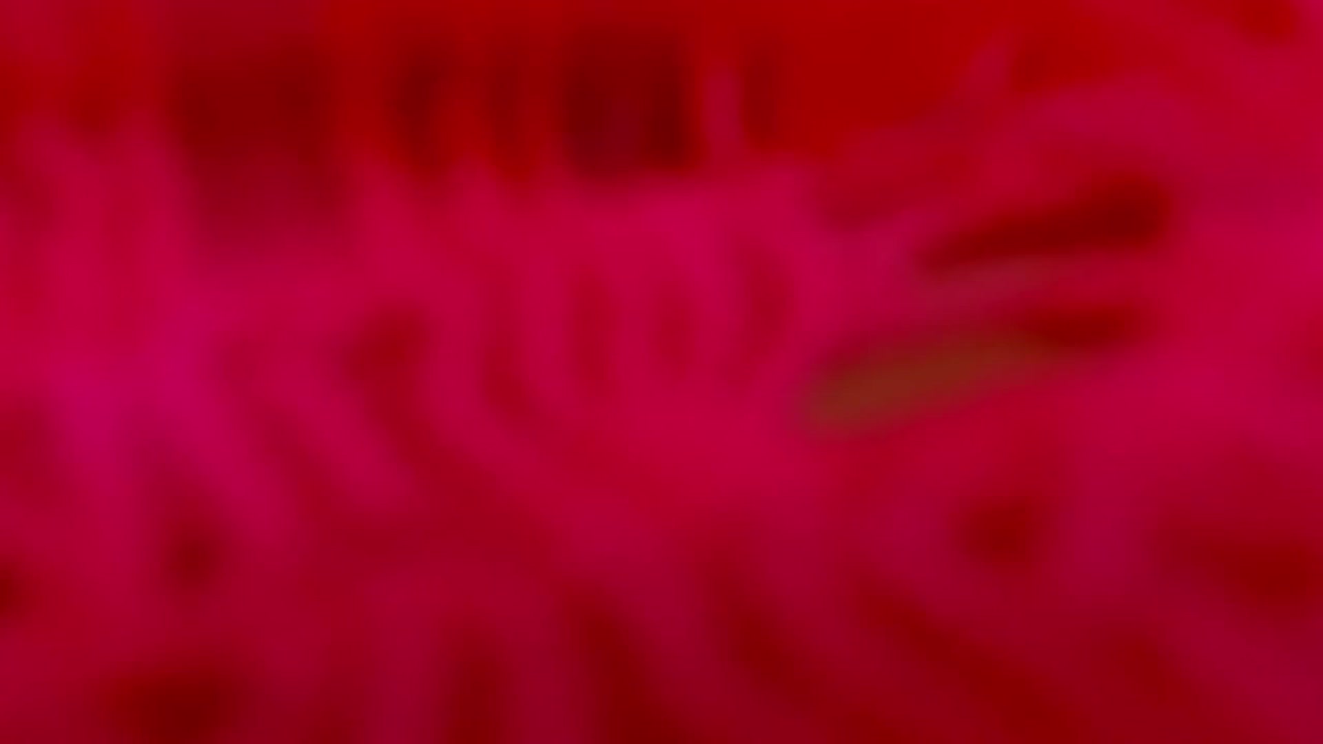 Gallery image thumbnail from LenaLiveNow's myfreecams stream on, 03/19/2024, 07:35 image 20 of 20