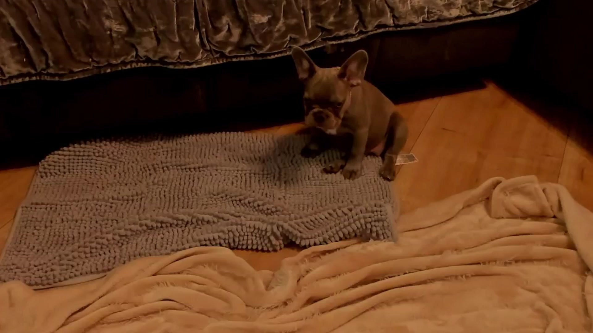 Gallery image thumbnail from LenaLiveNow's myfreecams stream on, 10/21/2024, 18:05 image 1 of 20