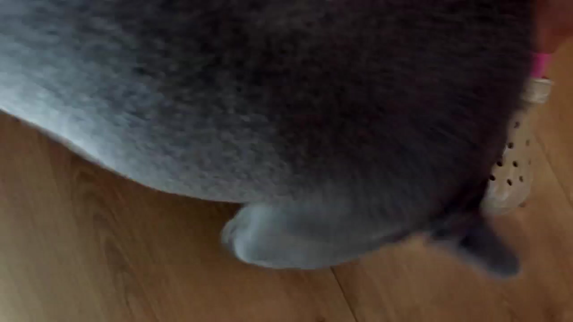 Gallery image thumbnail from LenaLiveNow's myfreecams stream on, 01/07/2025, 22:48 image 20 of 20