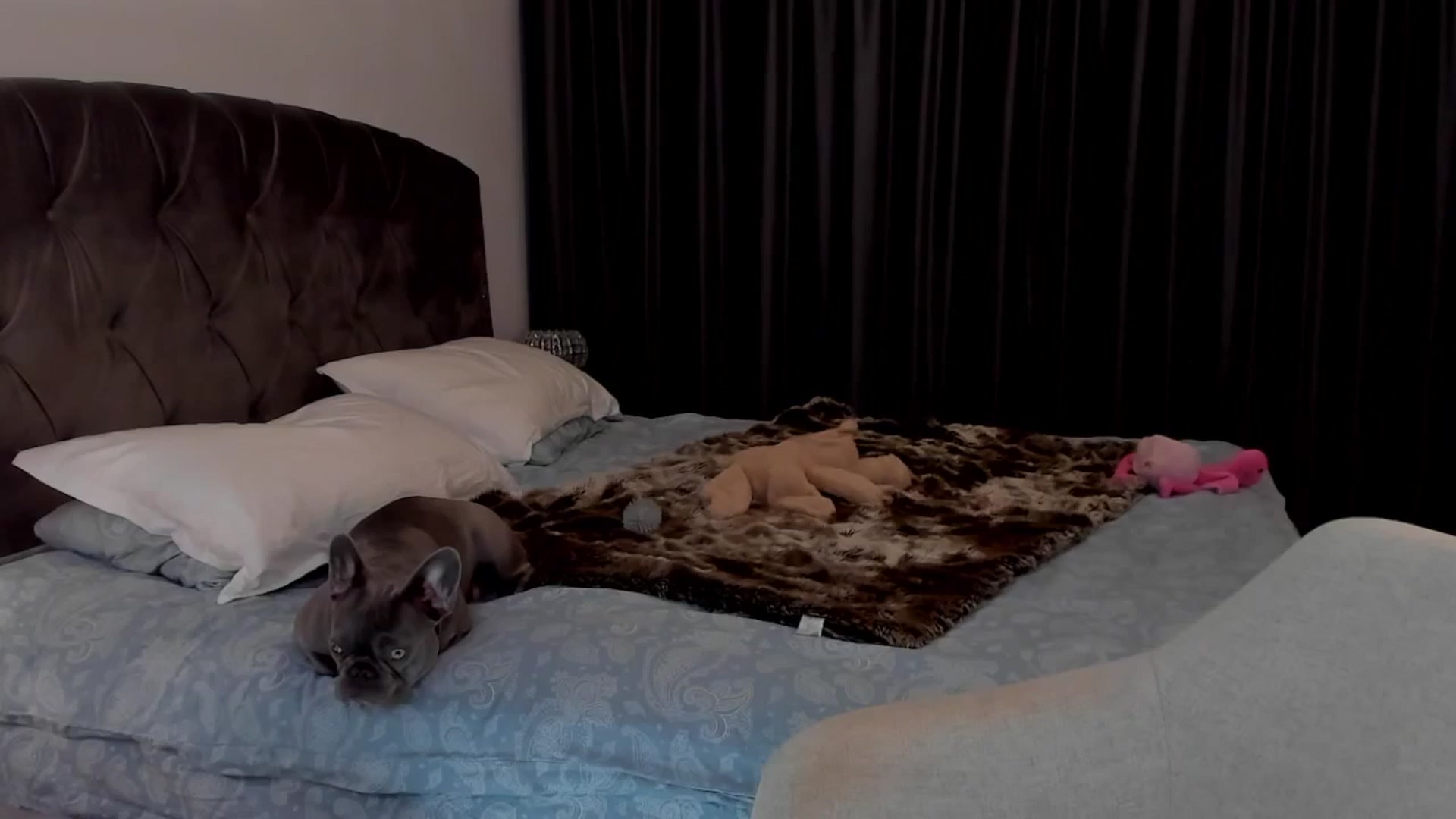 Gallery image thumbnail from LenaLiveNow's myfreecams stream on, 04/14/2025, 21:20 image 20 of 20