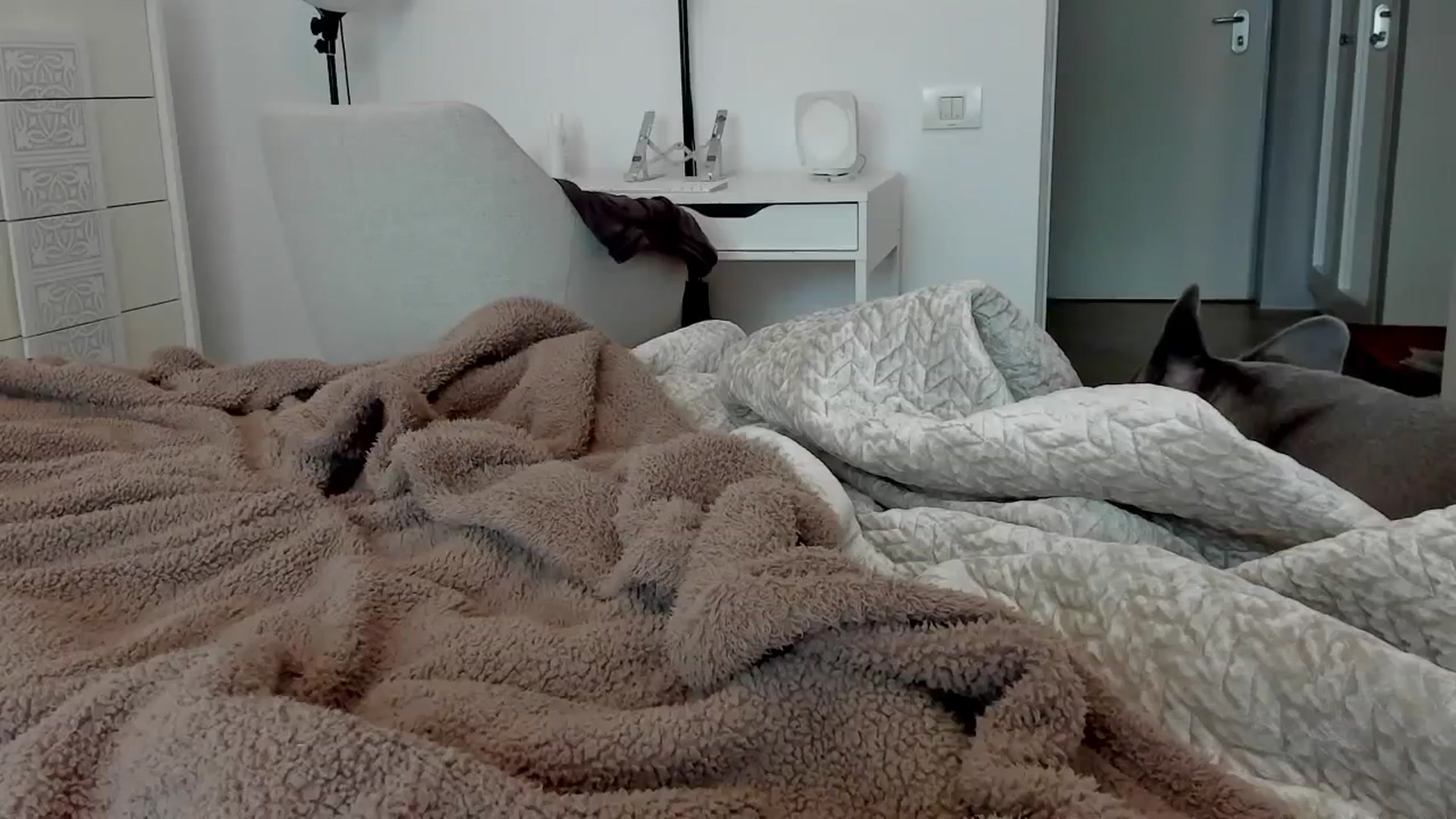 Gallery image thumbnail from LenaLiveNow's myfreecams stream on, 07/12/2025, 13:04 image 2 of 20