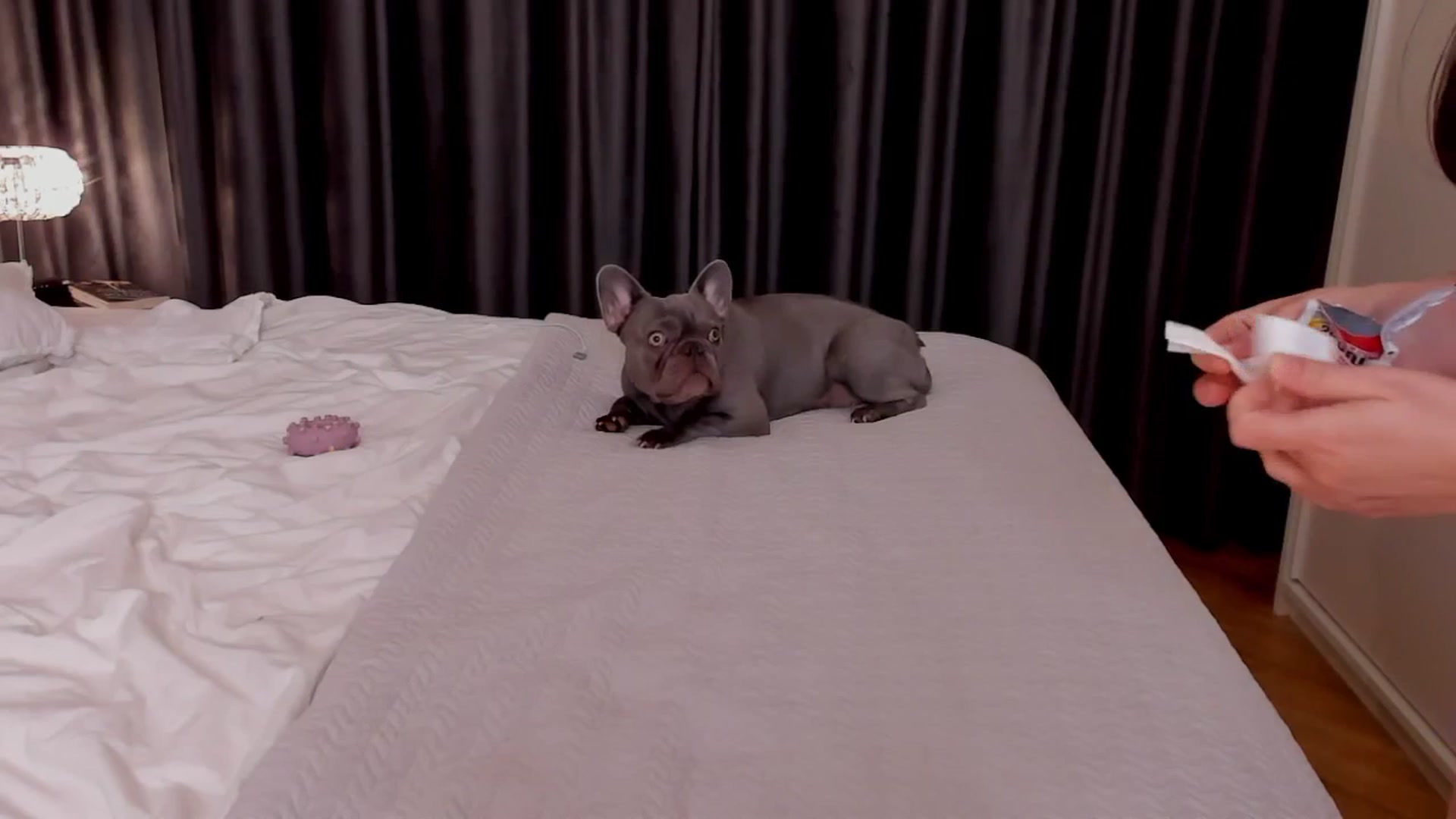 Gallery image thumbnail from LenaRae's myfreecams stream on, 02/19/2026, 21:22 image 17 of 20
